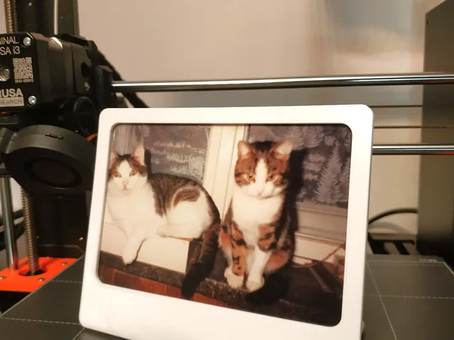 The PHOTO FRAME (the best frame to keep an eye on your pet)