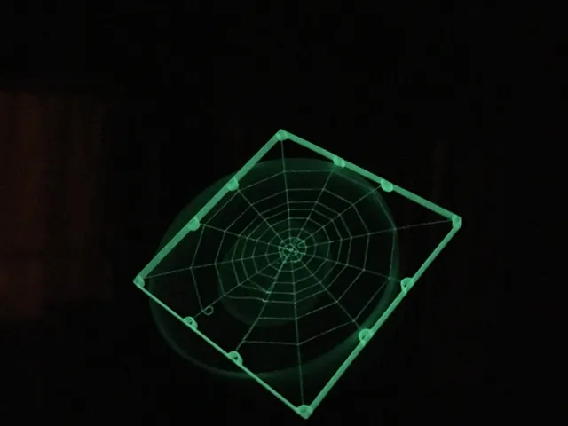 Realistic spider web