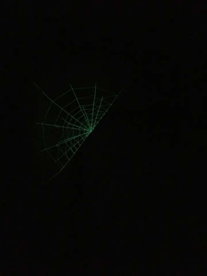 Realistic spider web by Thaxarth | Download free STL model 