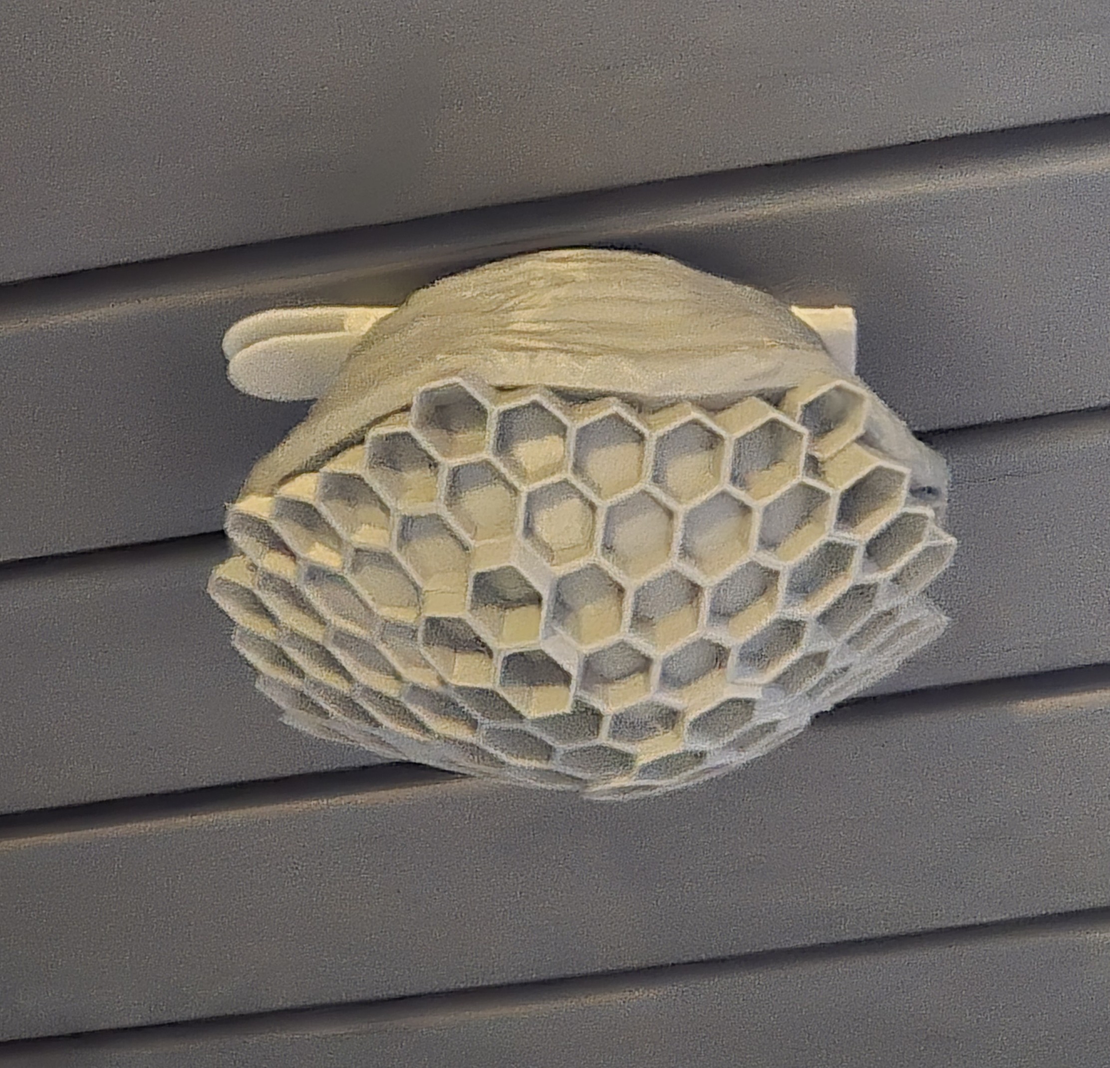 Decoy Wasp Nest