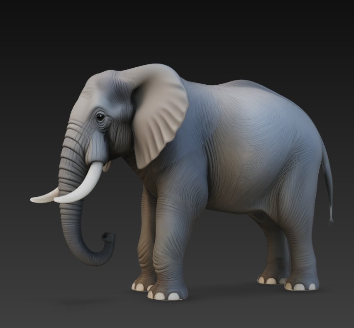 elephant — miniatura 4