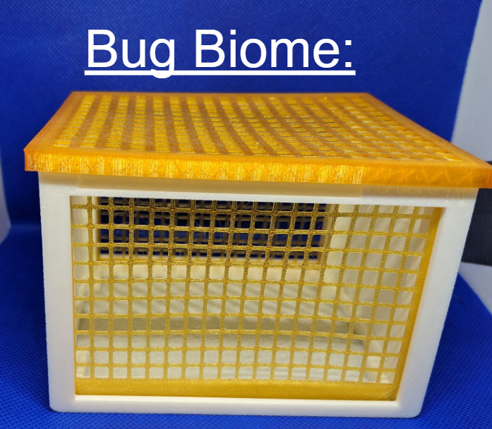 Bug Biome