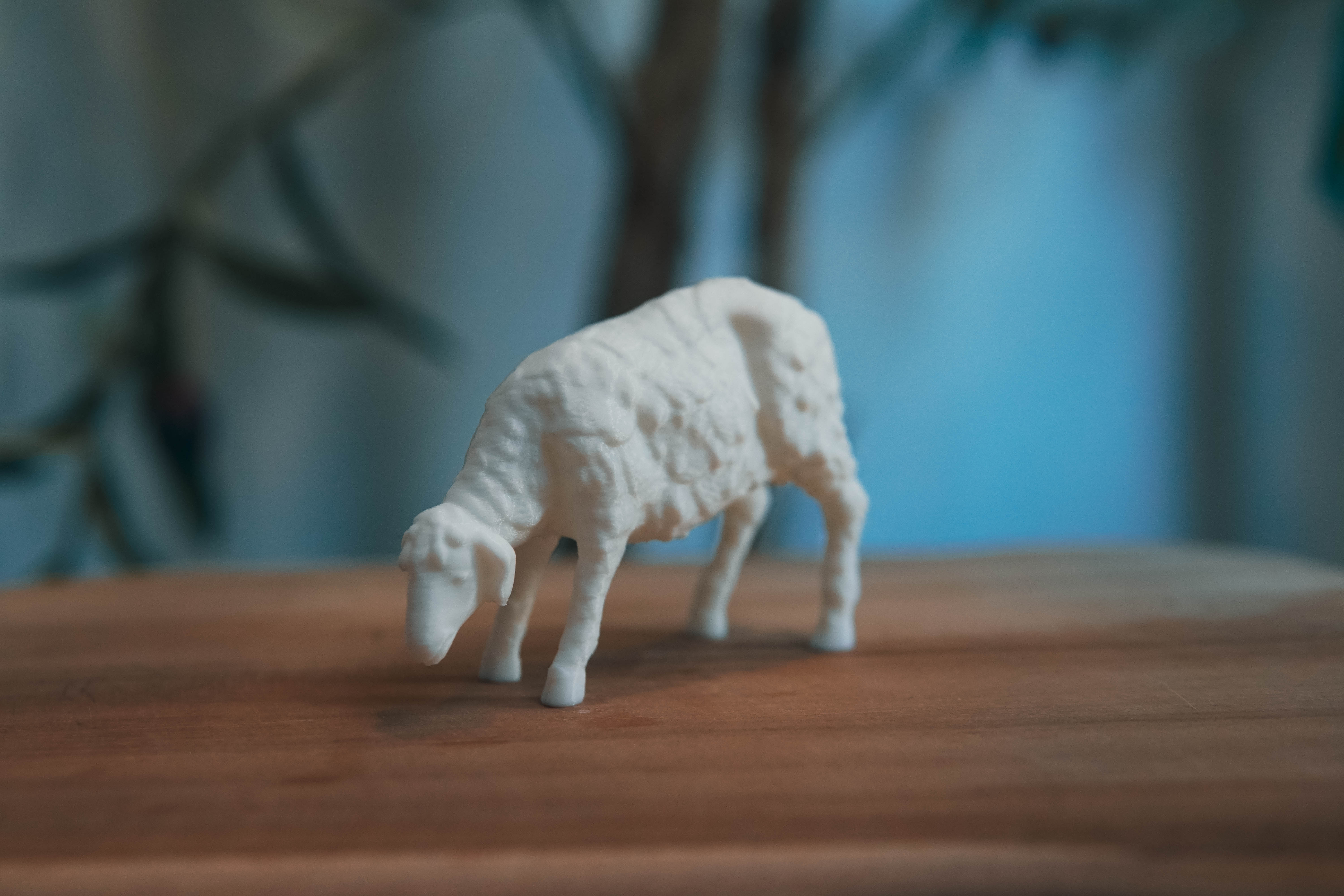 Adult Sheep Mini