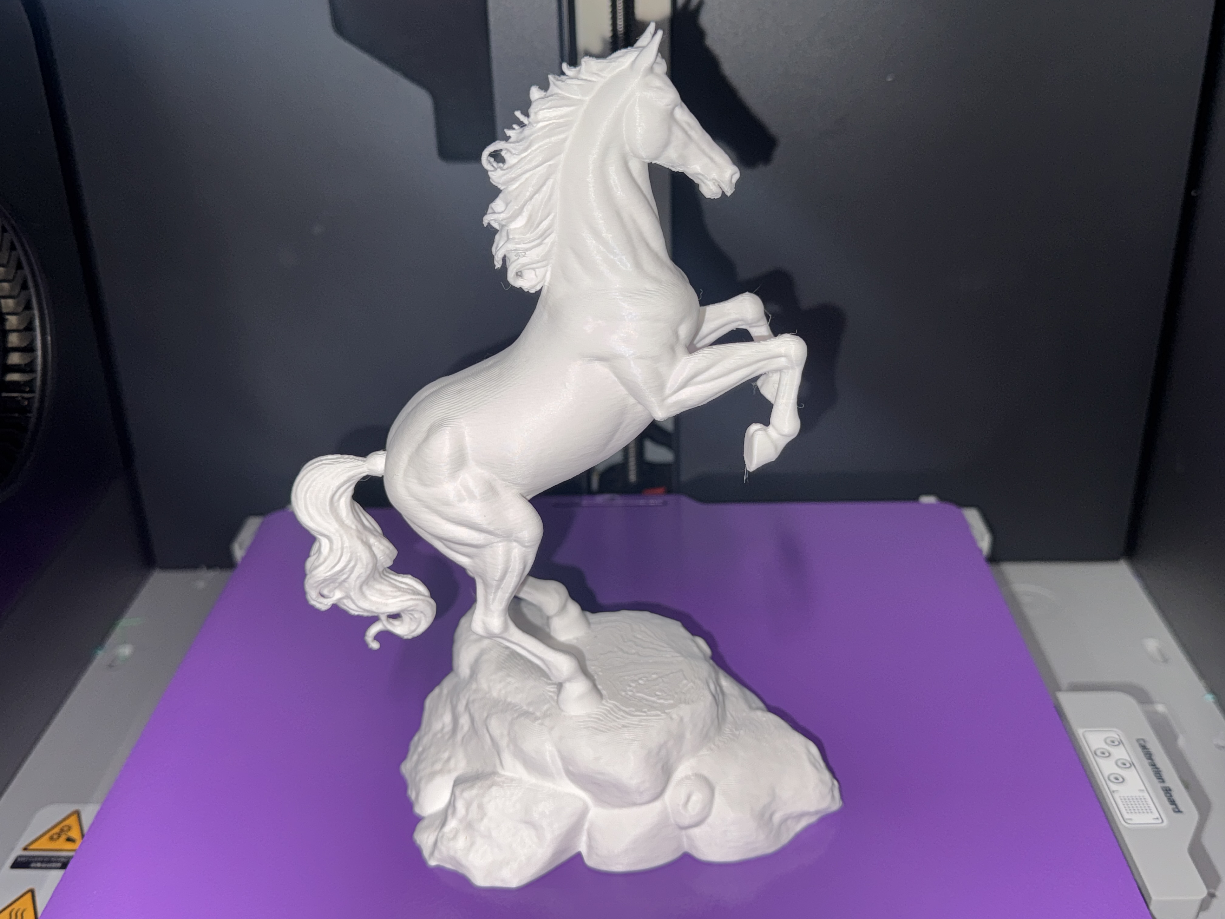 Rearing Stallion