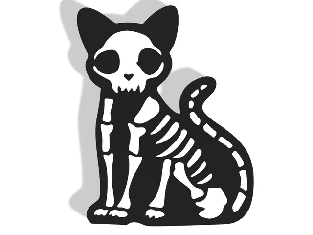 Halloween Cat Decor