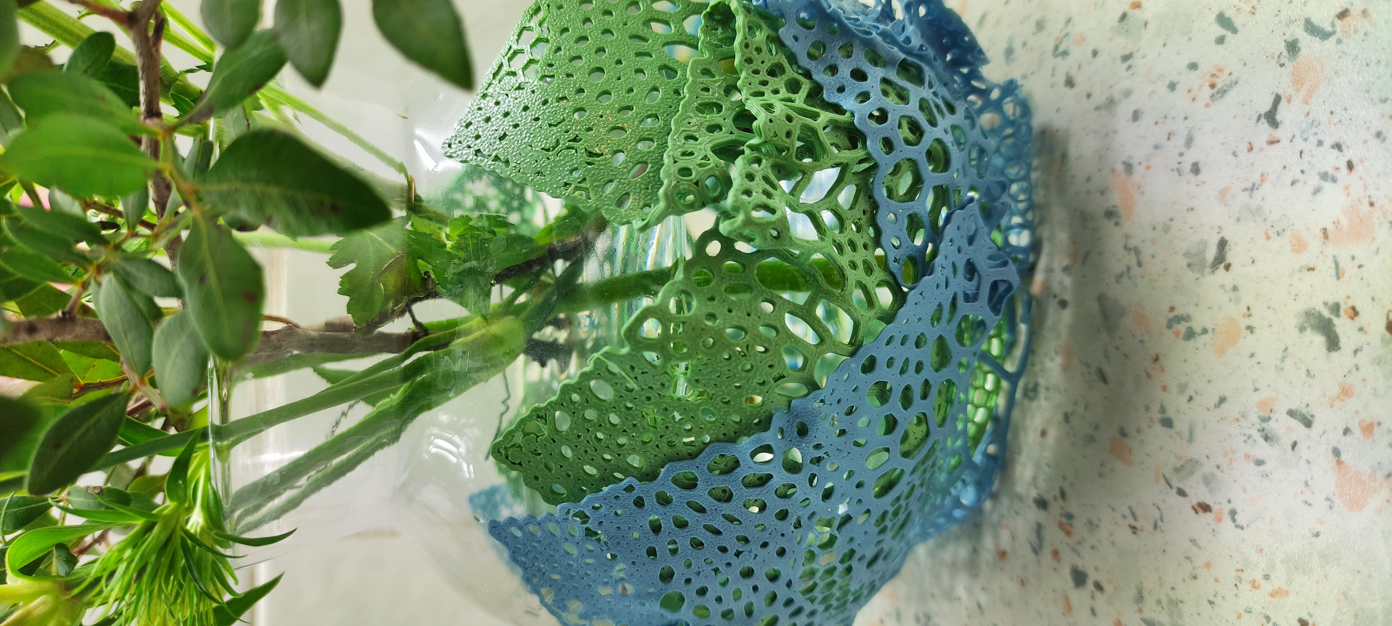 Dragon skin