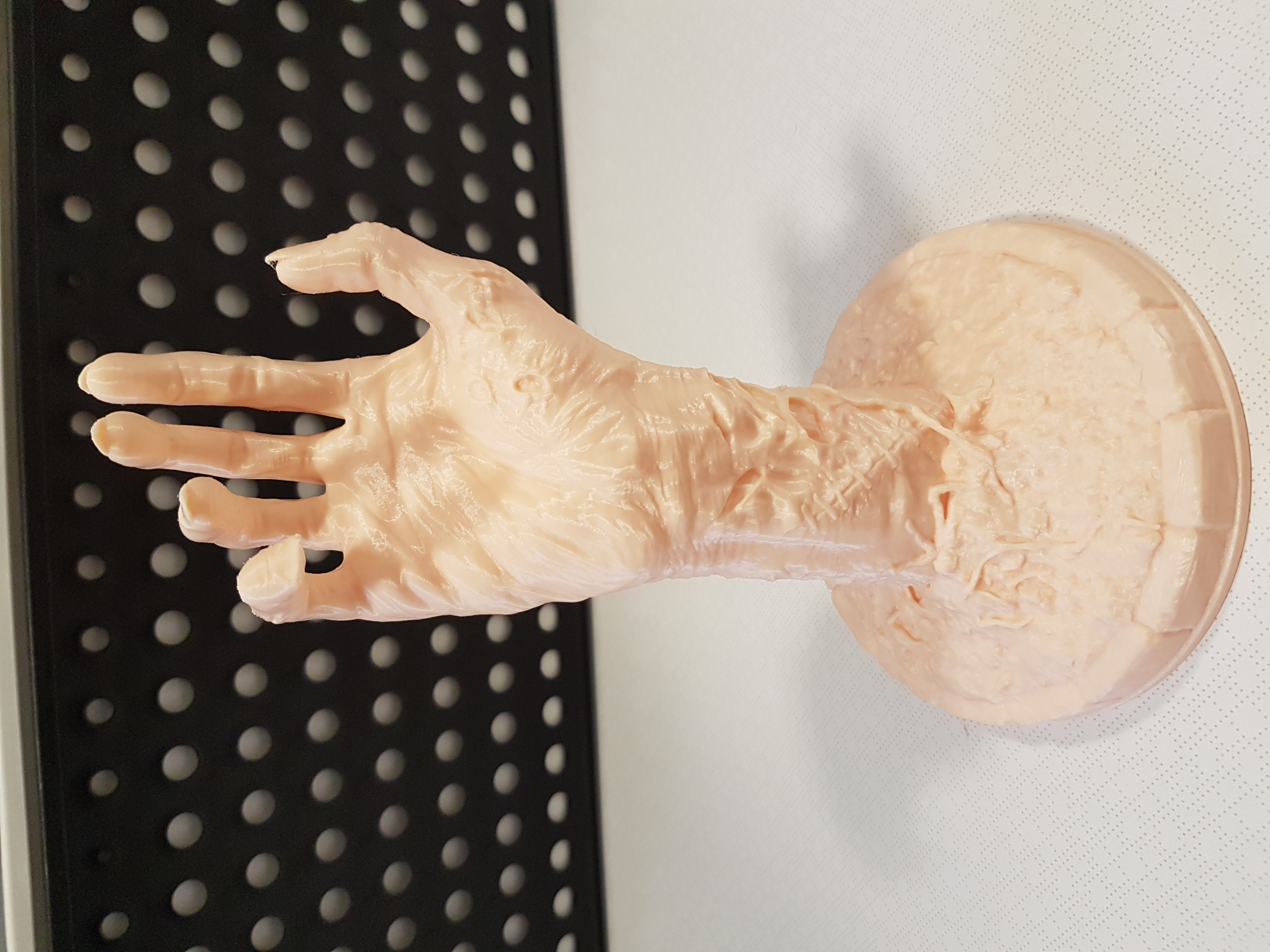 Miniatura 15 do modelo 3D Zombie Hand