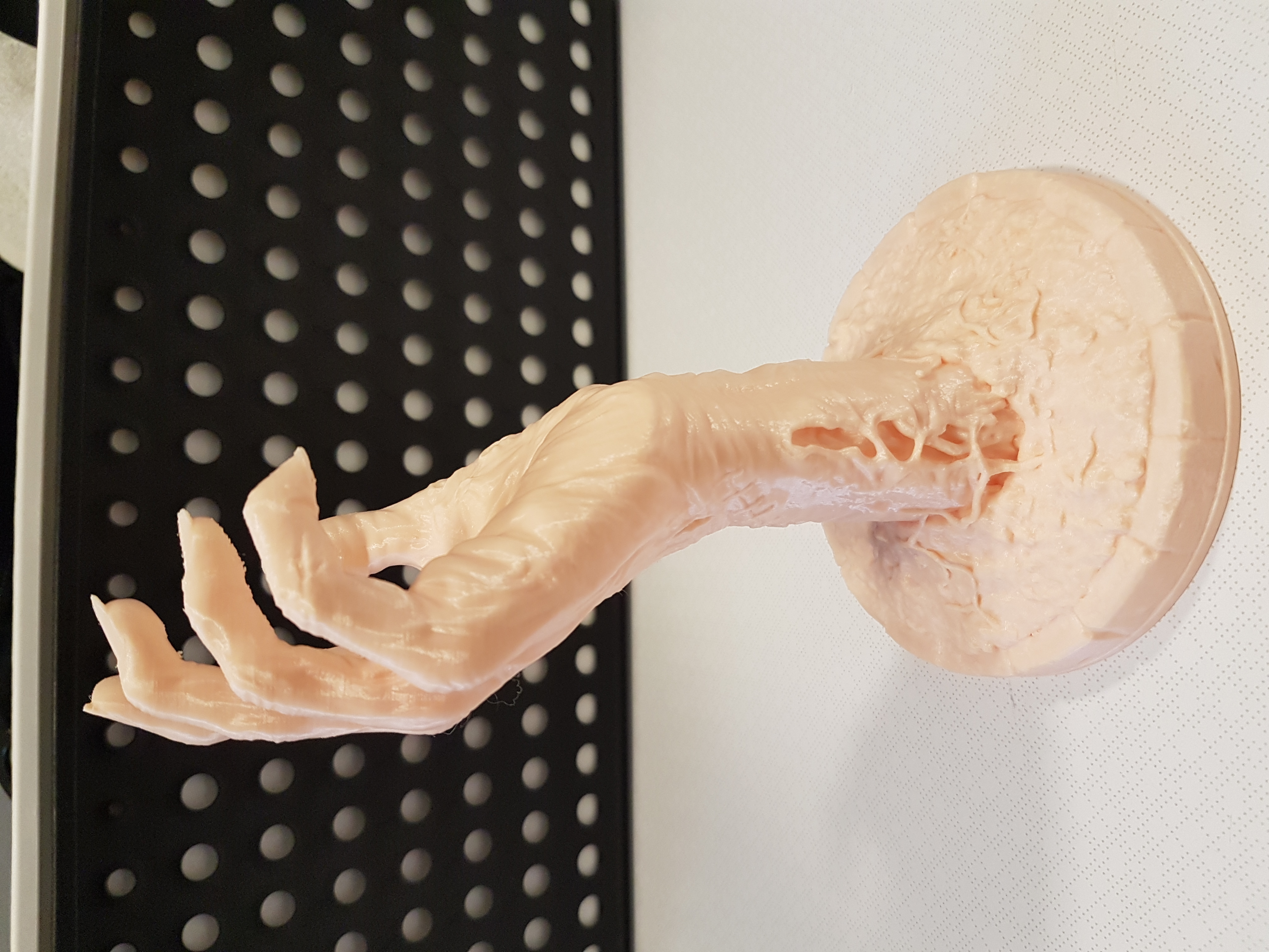 Miniatura 17 do modelo 3D Zombie Hand