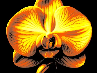Orchidea "Filament Painting"