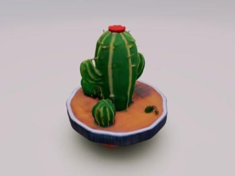 mini cactus in a pot