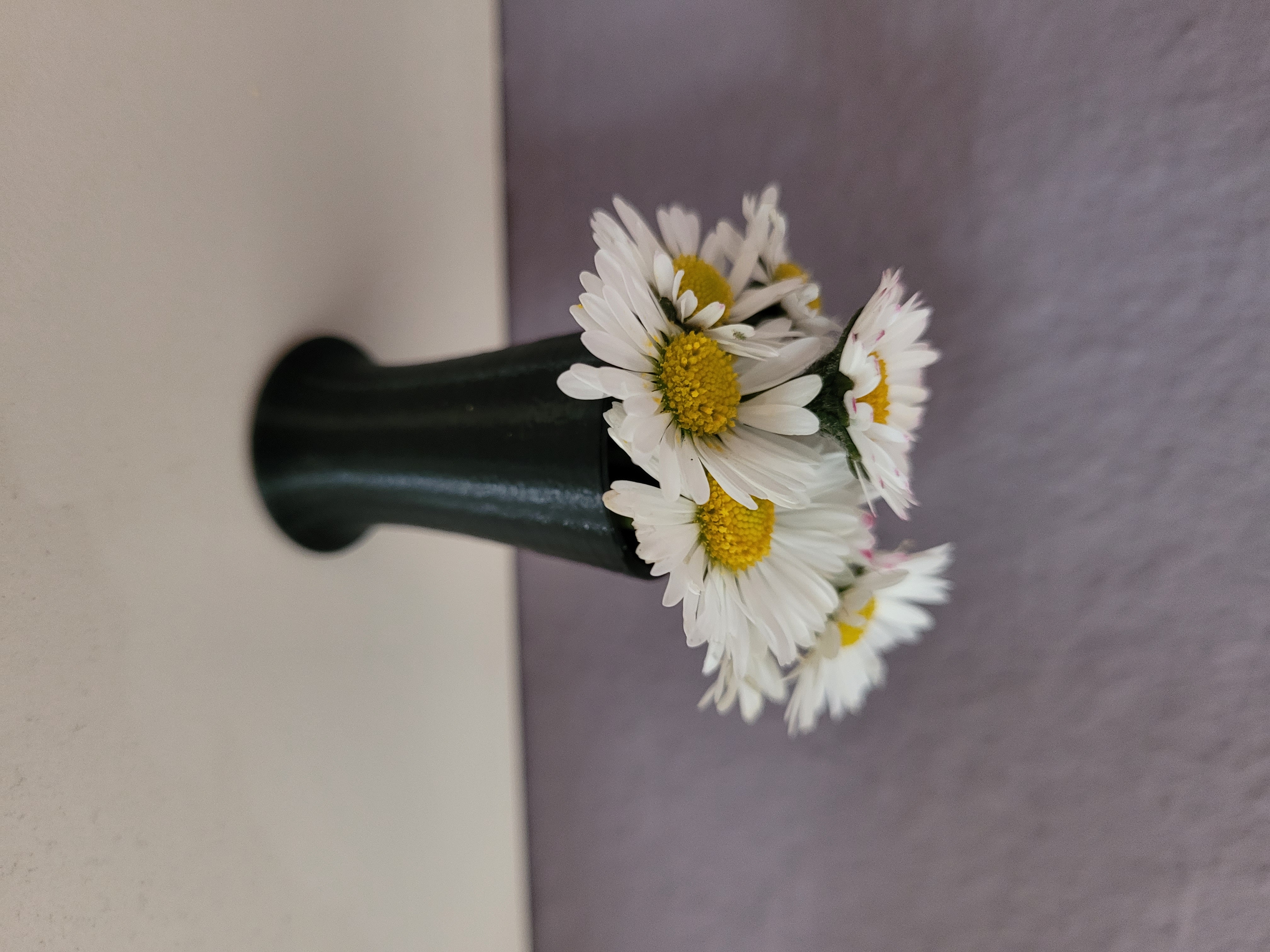 Mini Daisy Vase Flowerpot