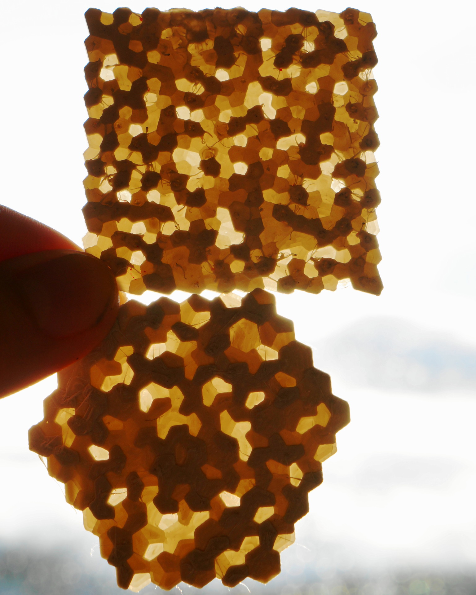 Miniatura 3 do modelo 3D random Hex Coaster