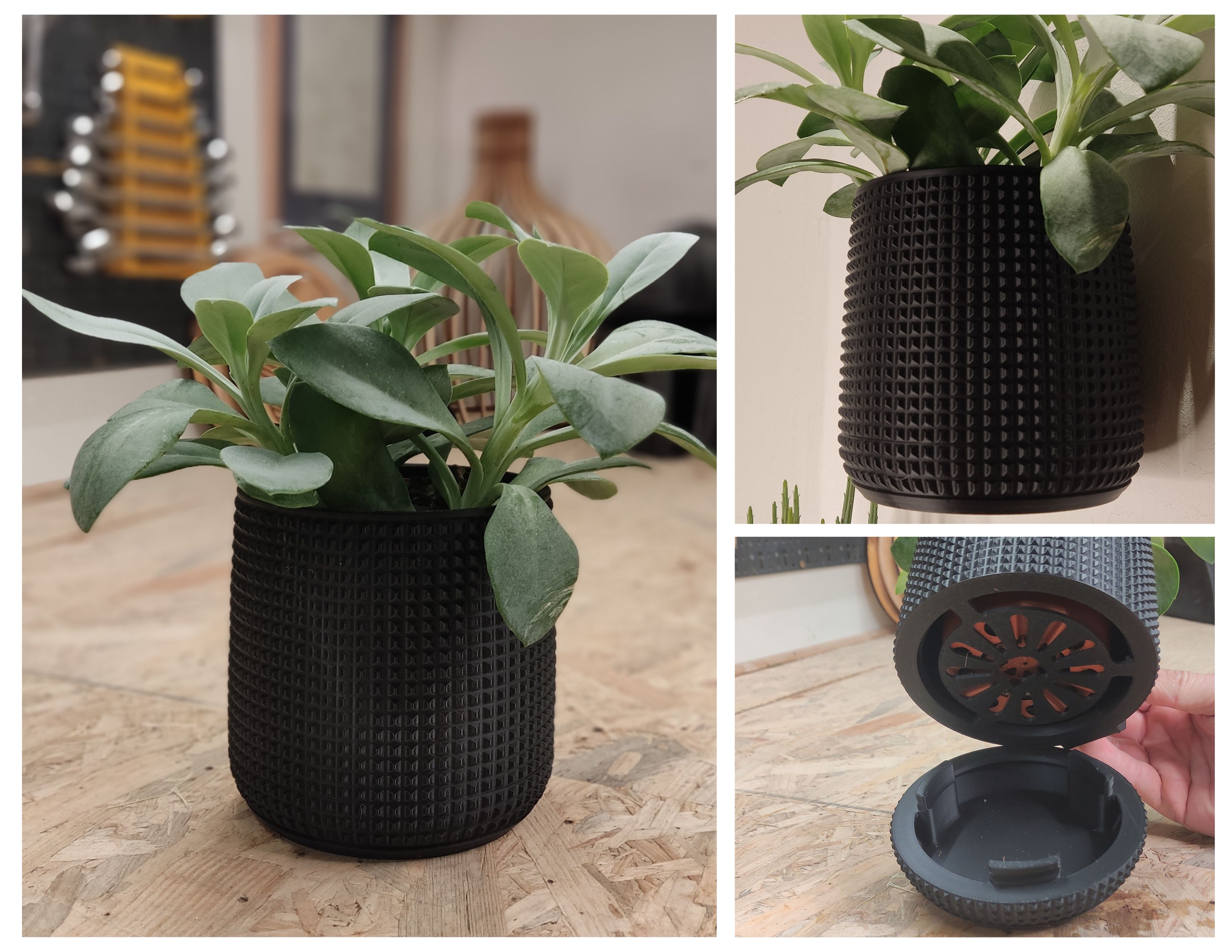 Wall Planter 1.1