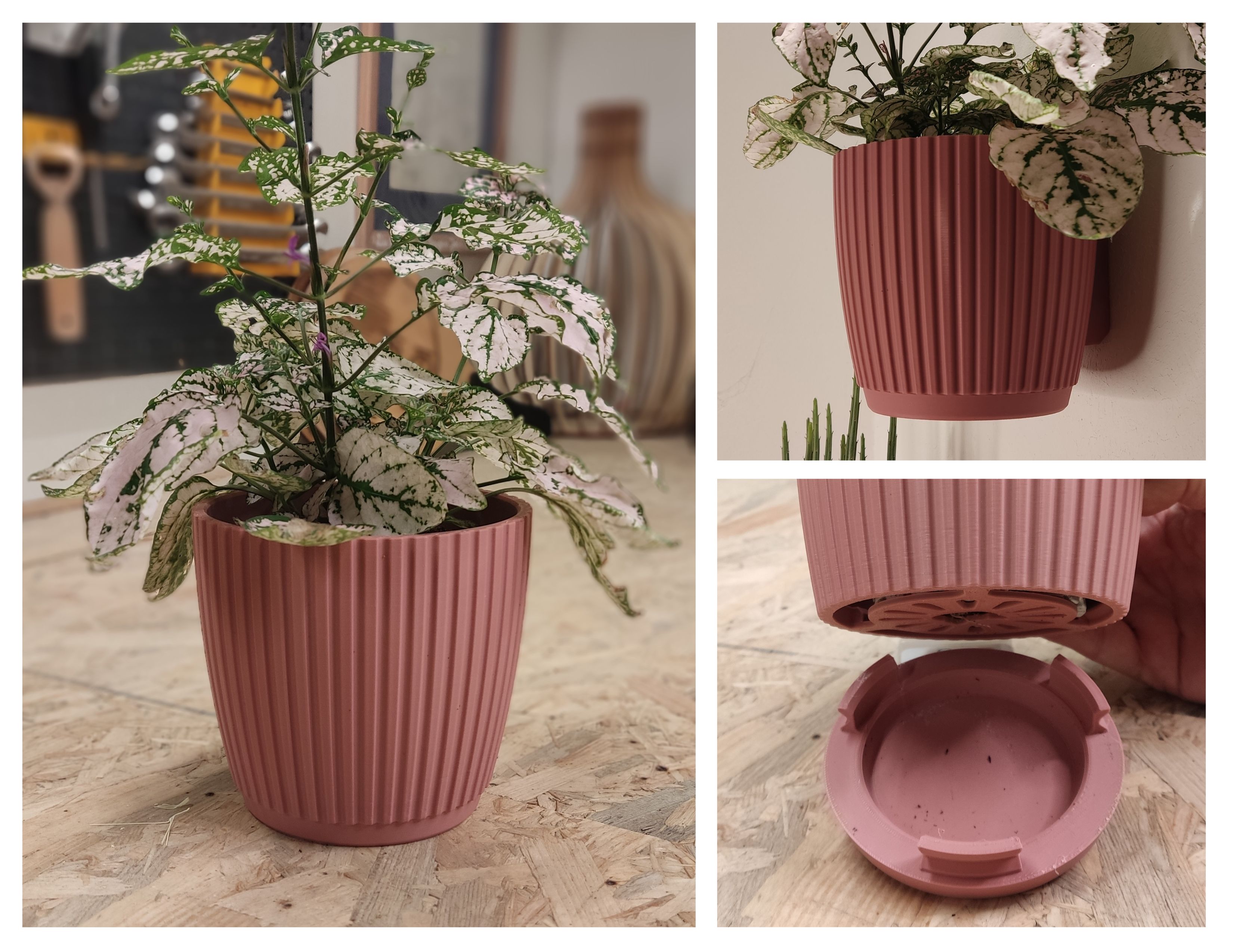 Wall Planter 1.4