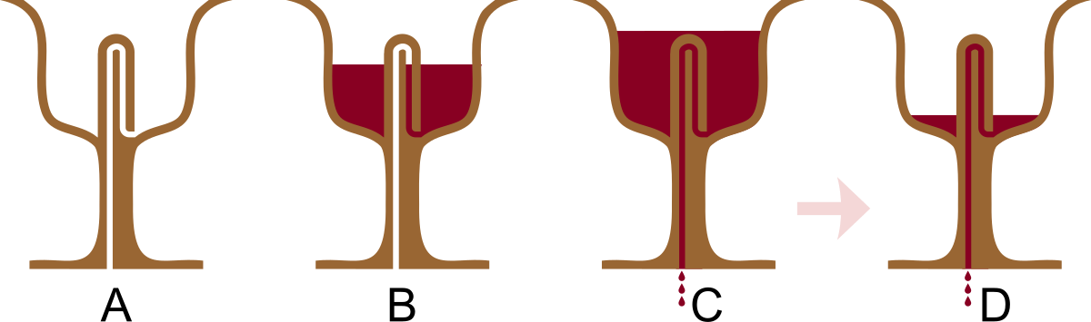 Pythagorean Cup