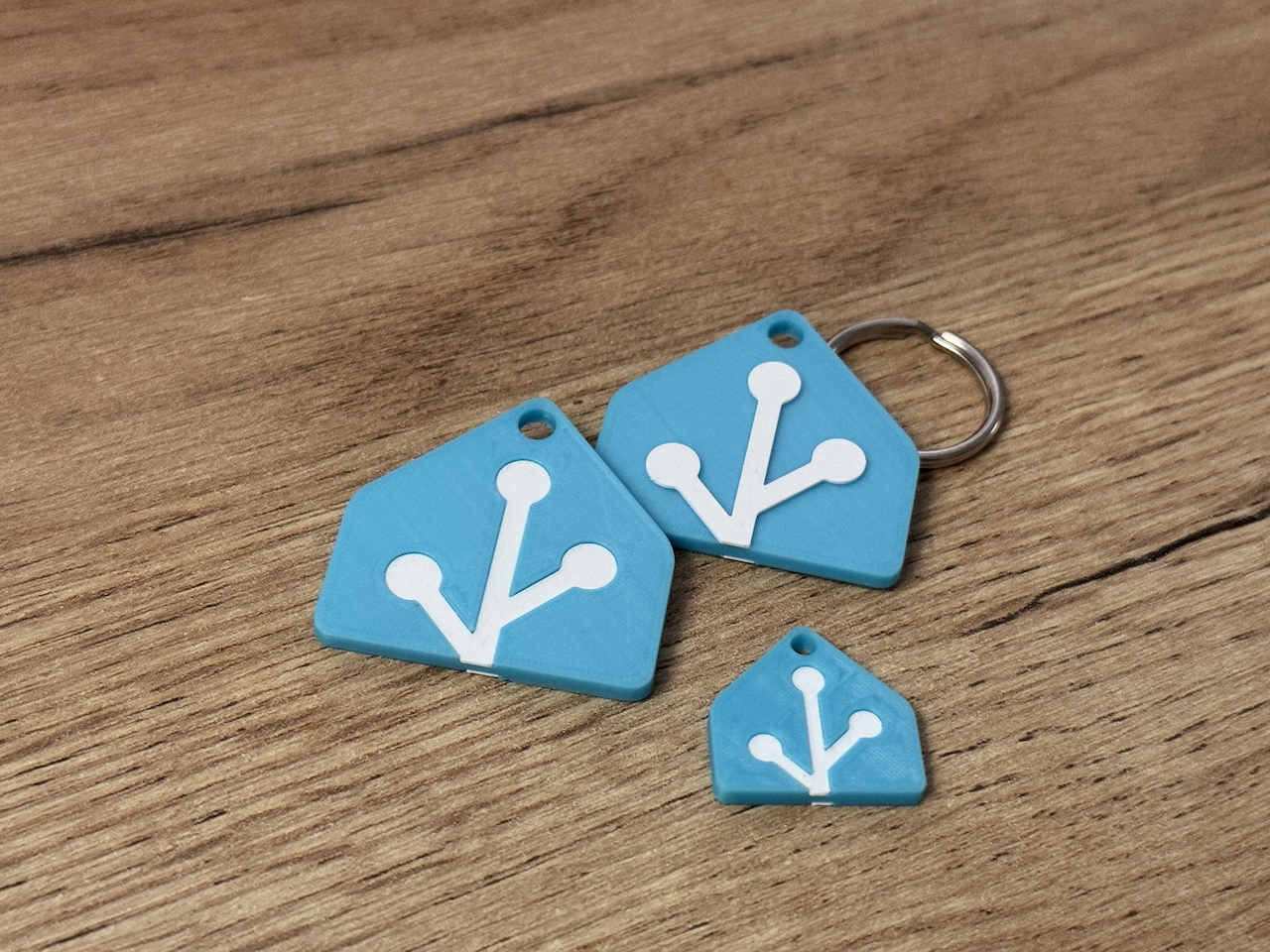 Home Assistant Logo Keychain