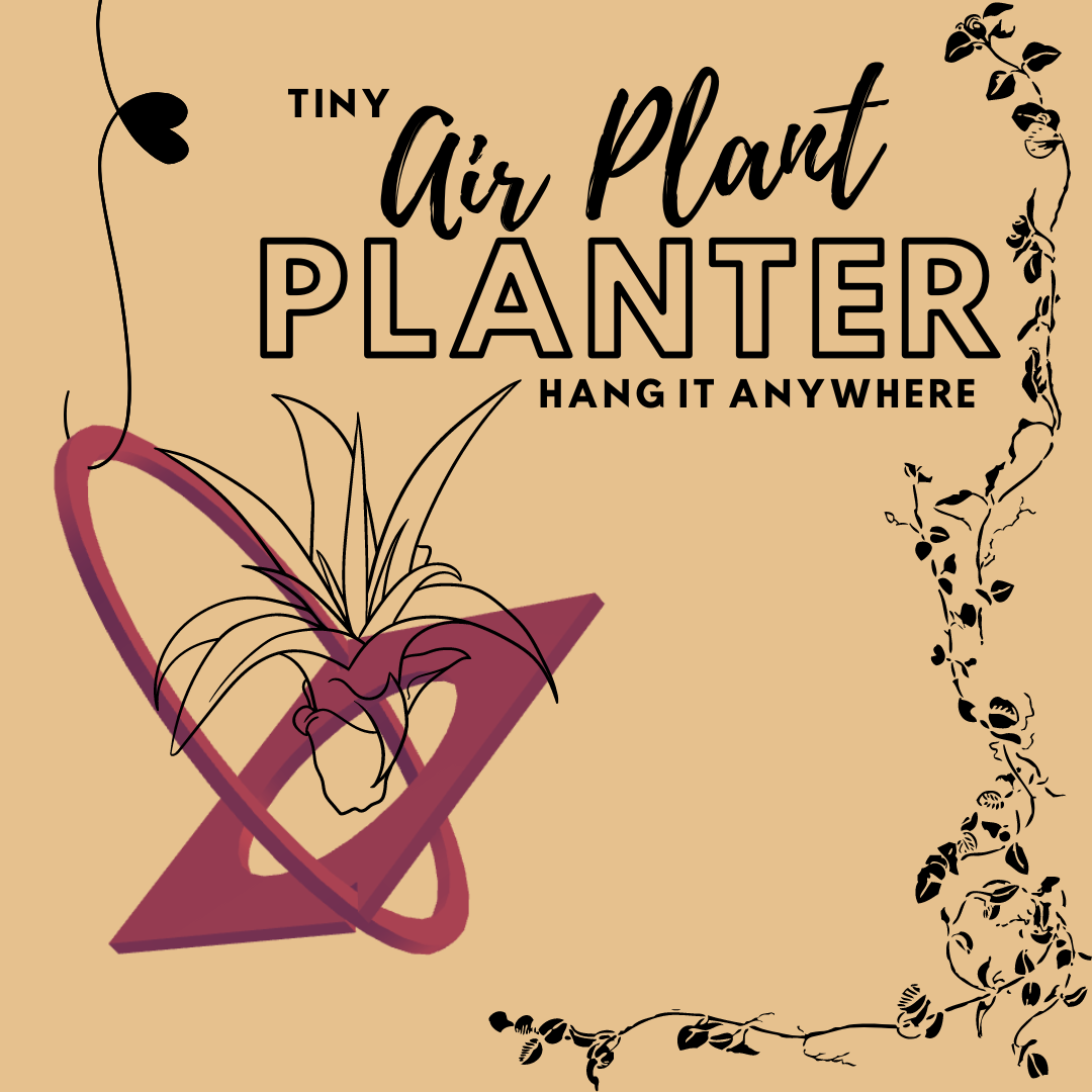 Air Plant Planter