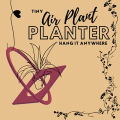 Air Plant Planter