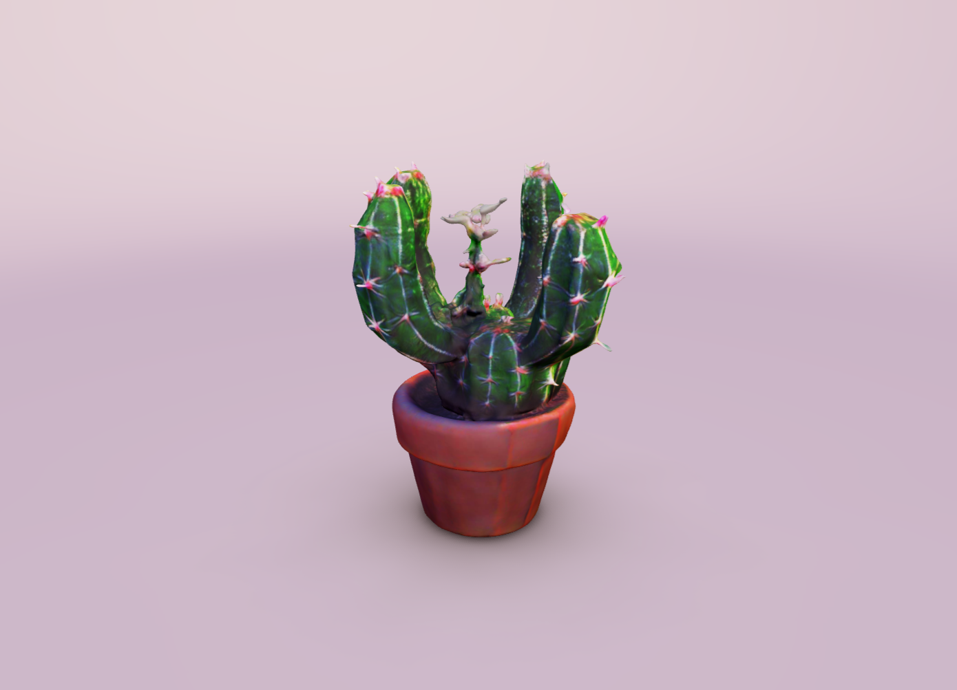 cactus vase