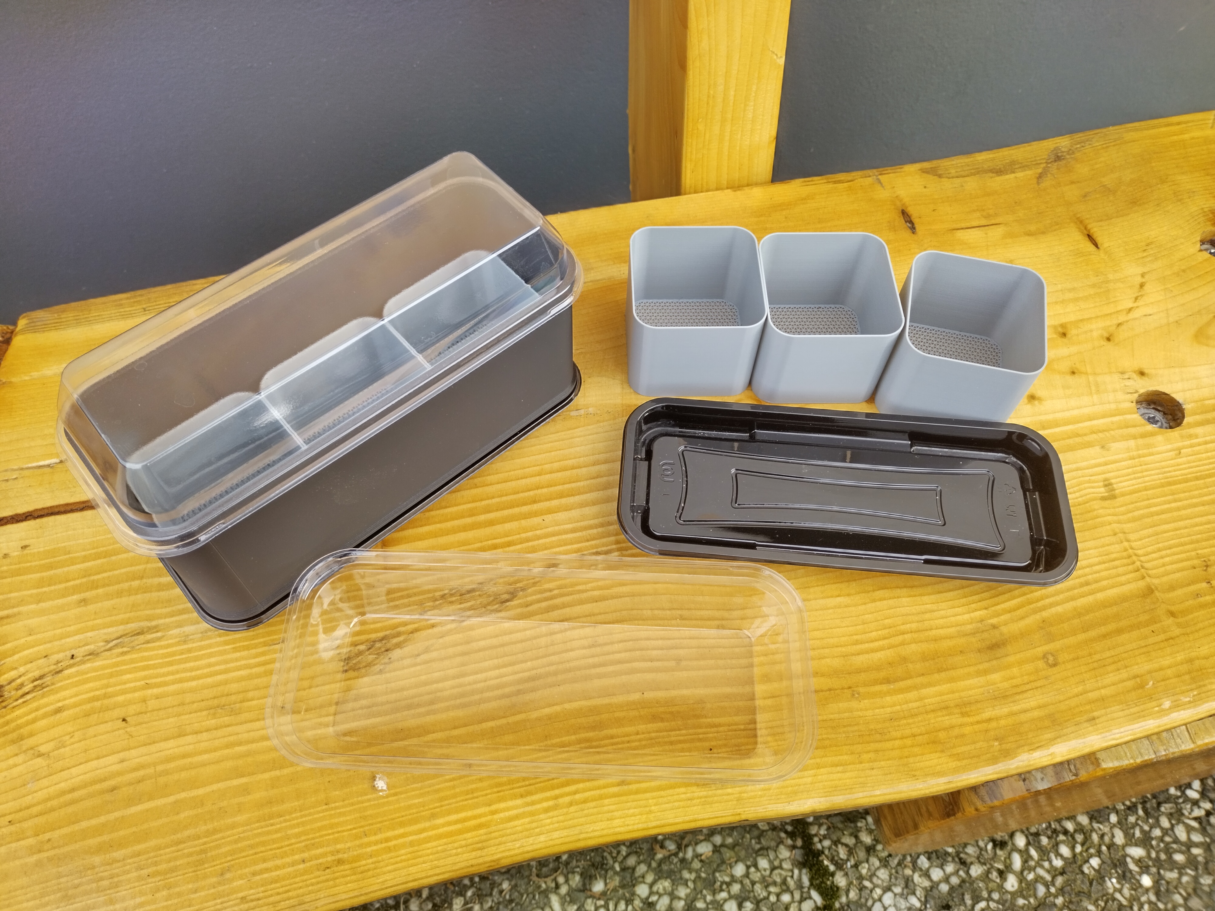 Sushi Tray Upcycling Greenhouse