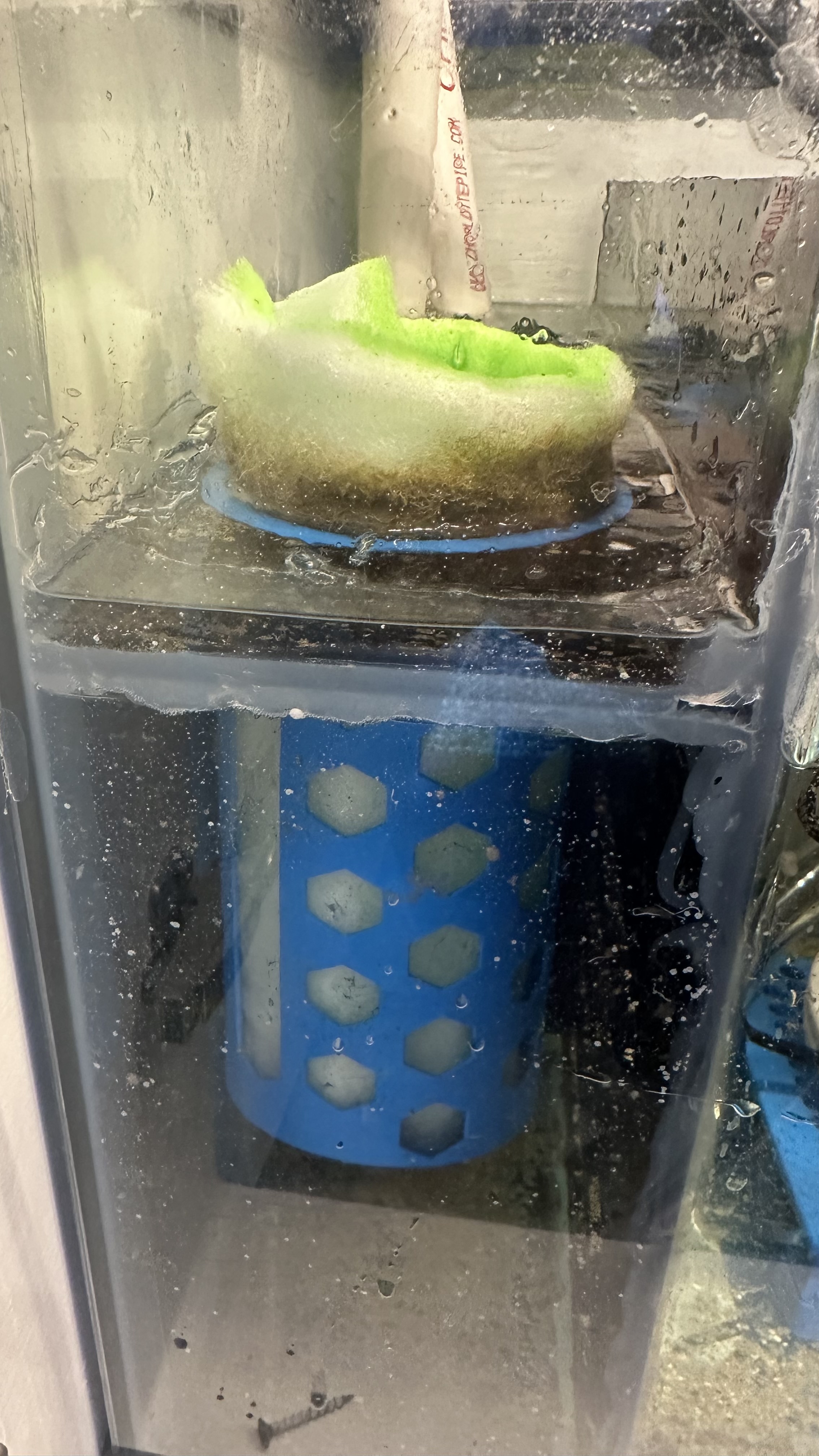 Reef Tank Filter Media Cup by eb2292 Download free STL model