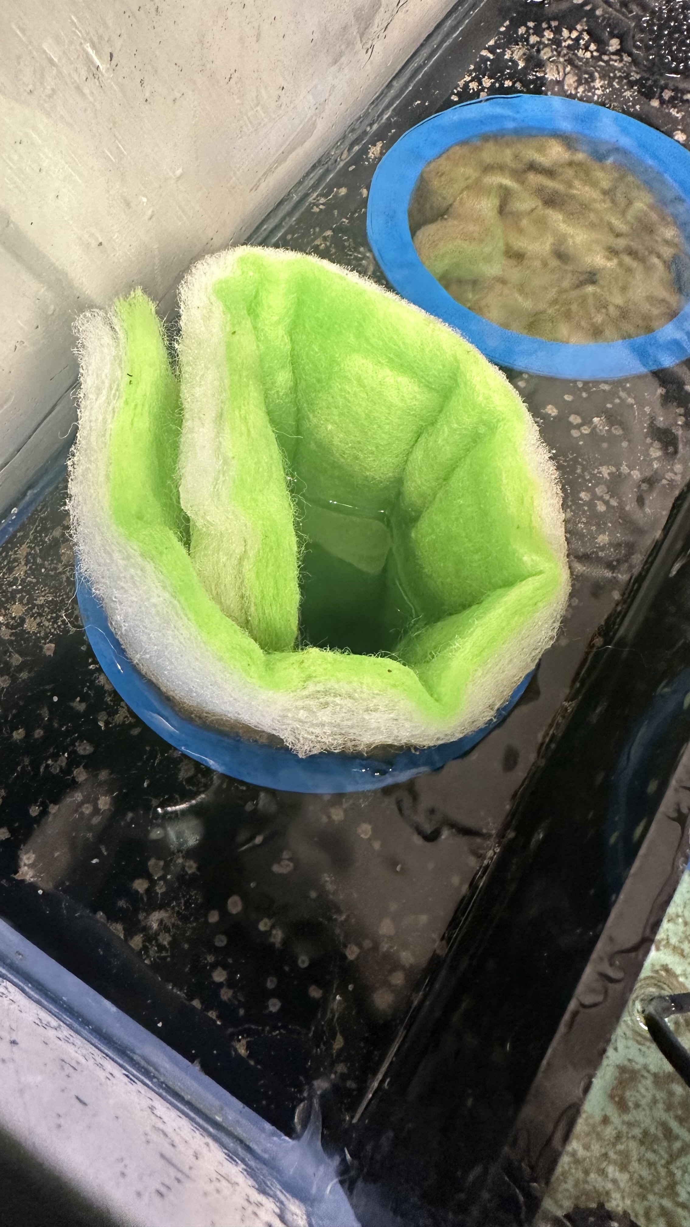 Reef Tank Filter Media Cup by eb2292 Download free STL model