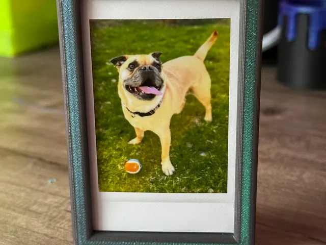 Instax Mini Magnetic Frame