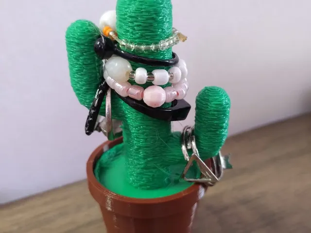Cactus Ring Holder - Plant Pot