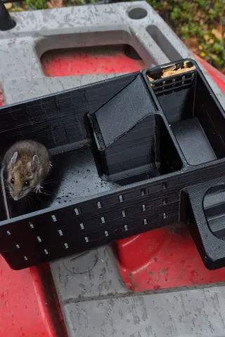 Flapper Mouse Trap by kmor | Download free STL model | Printables.com