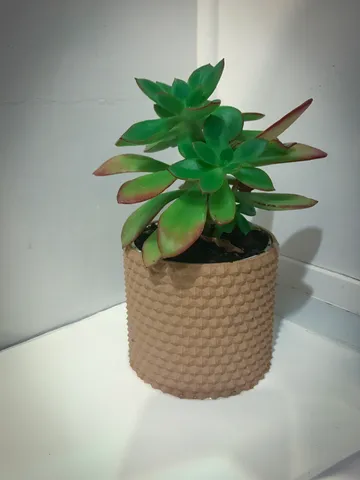 Round Flower Pot