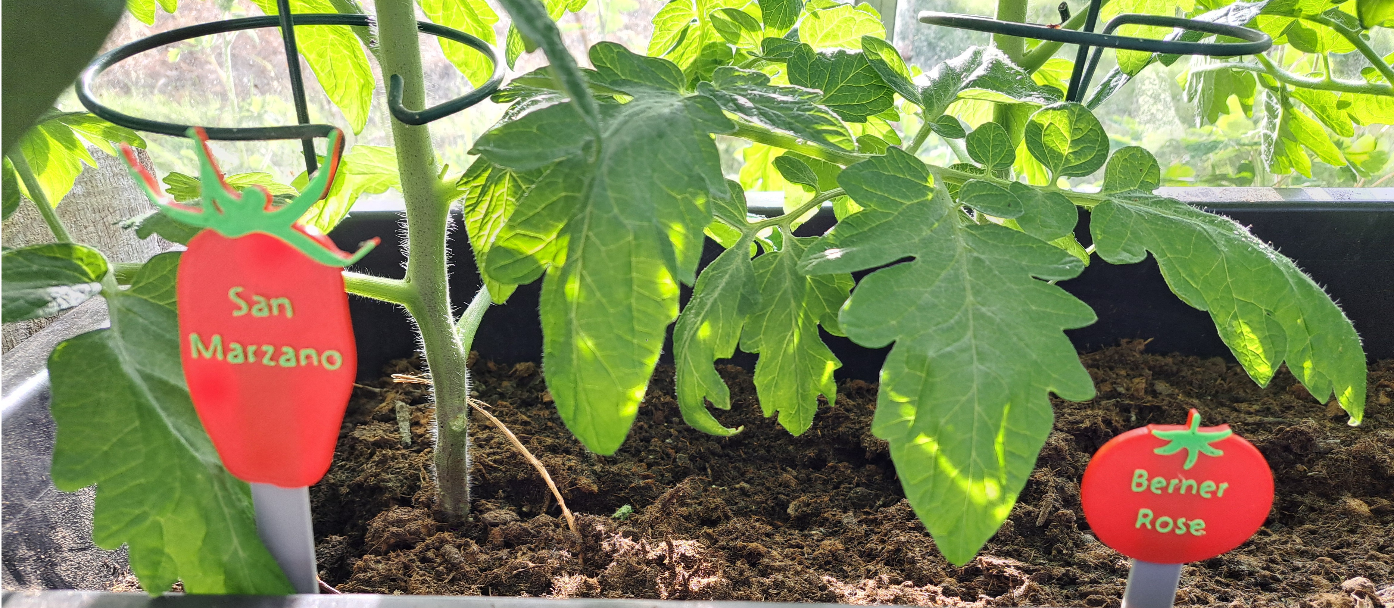 Interchangeable plant tags — thumbnail 3