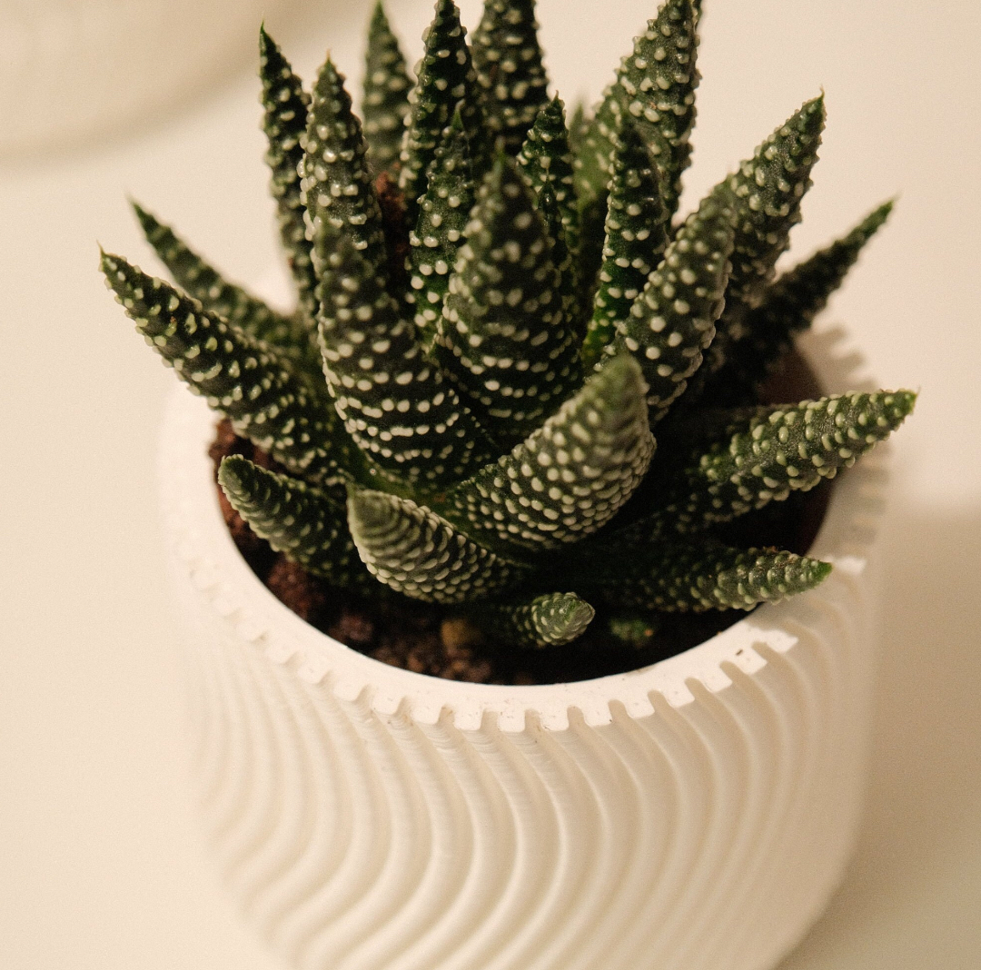 Miniatura 2 do modelo 3D WAVY flowerpot