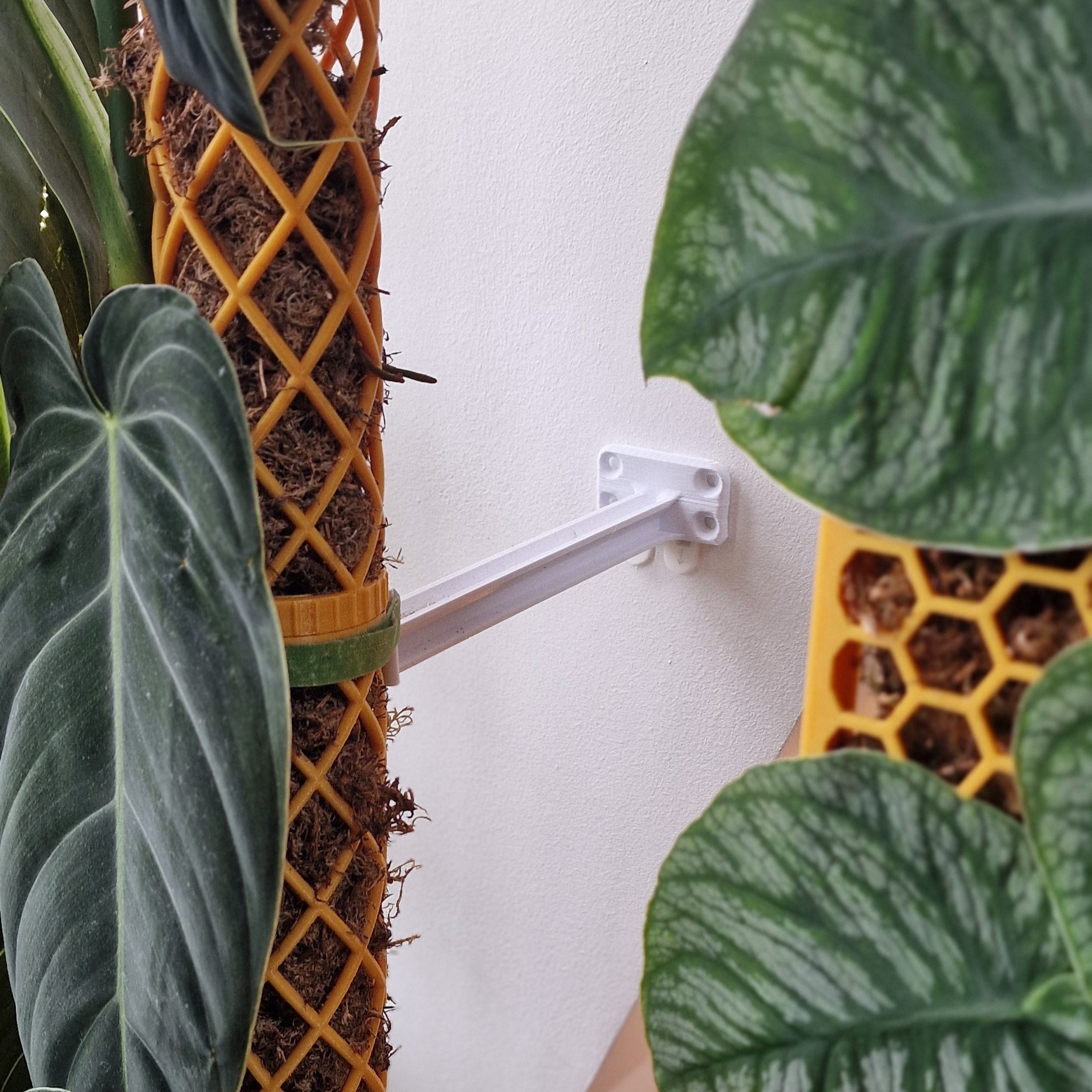 Moss Pole Wall Bracket