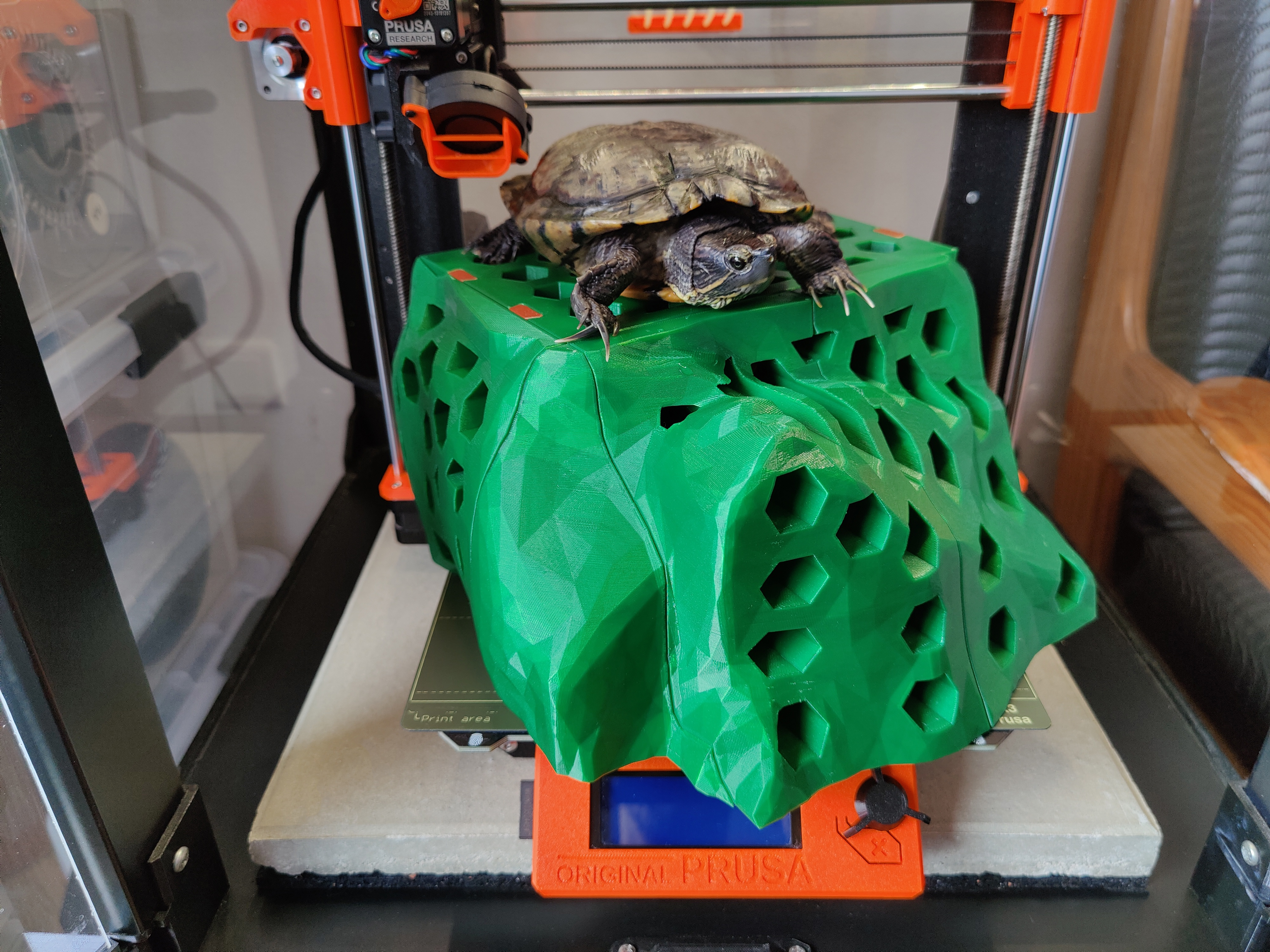 Miniatura 2 do modelo 3D Turtle Dock 2.0