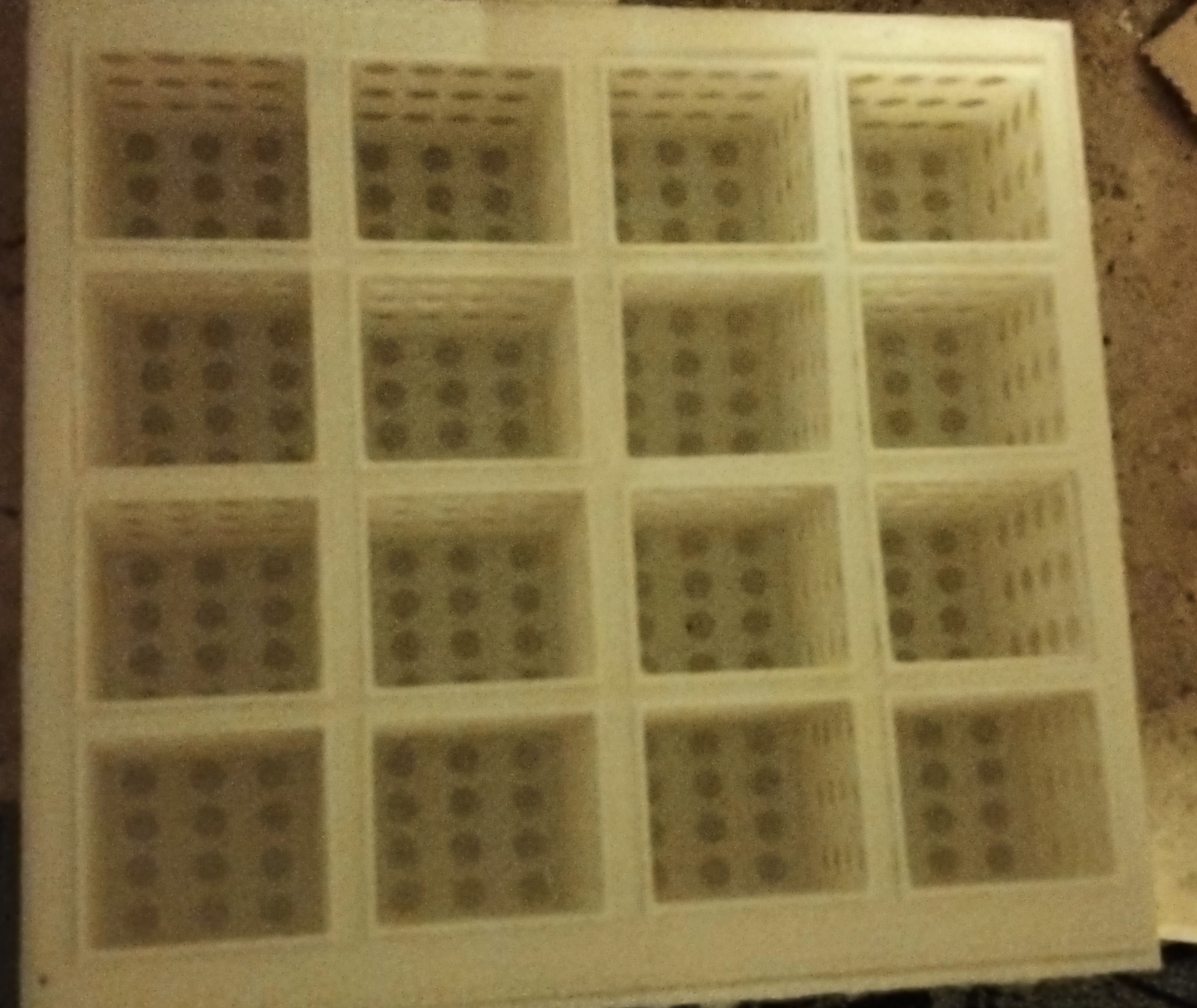 Hydroponic kit Trino
