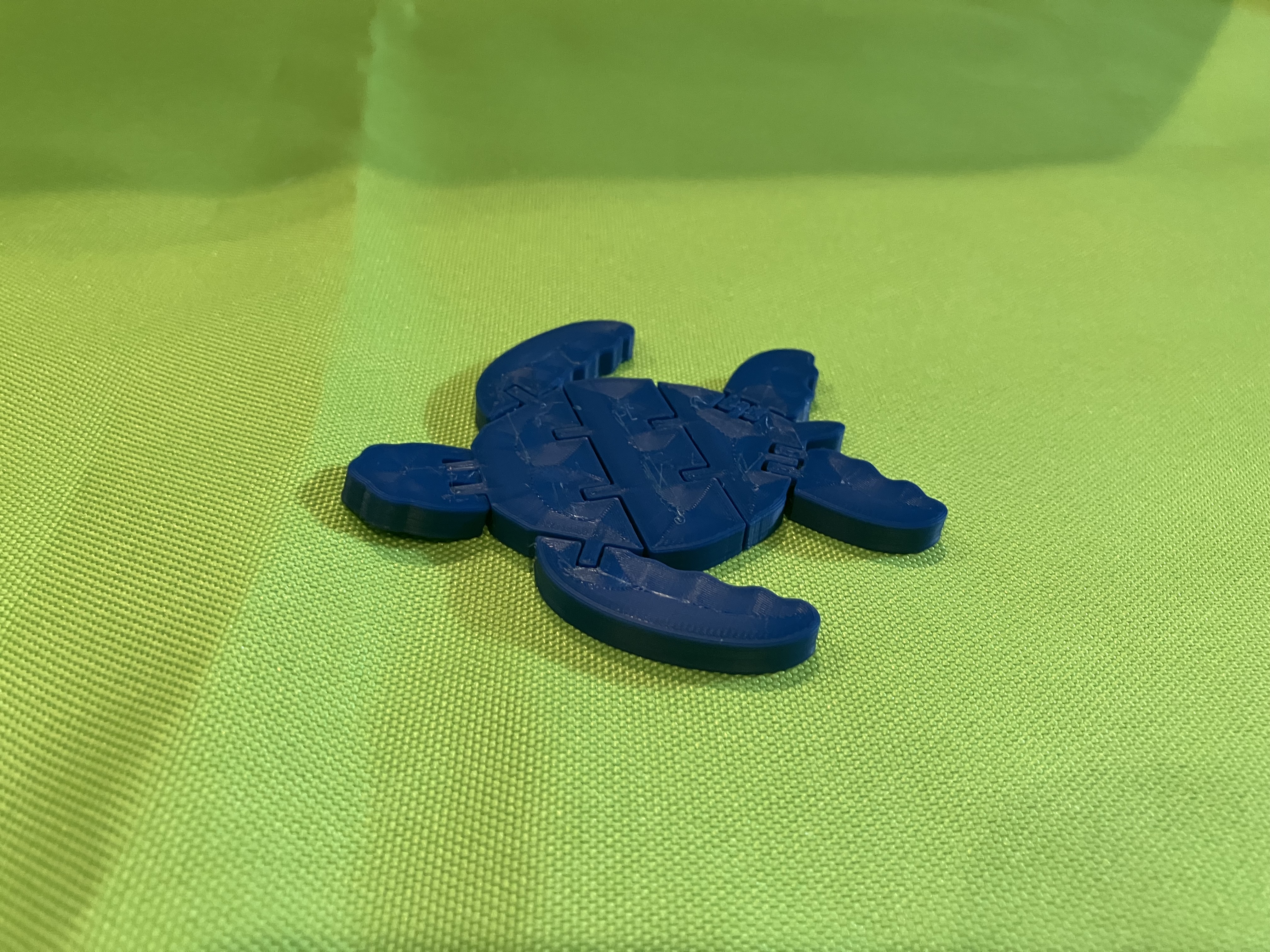 Flexi Turtle