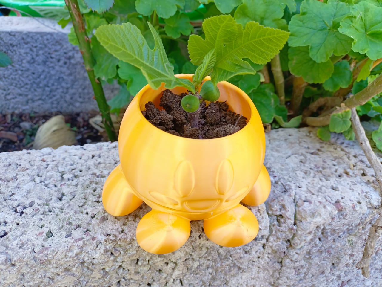 maceta de kirby