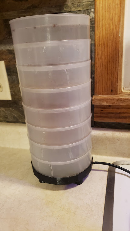 Round Sprouting Tray with Drain