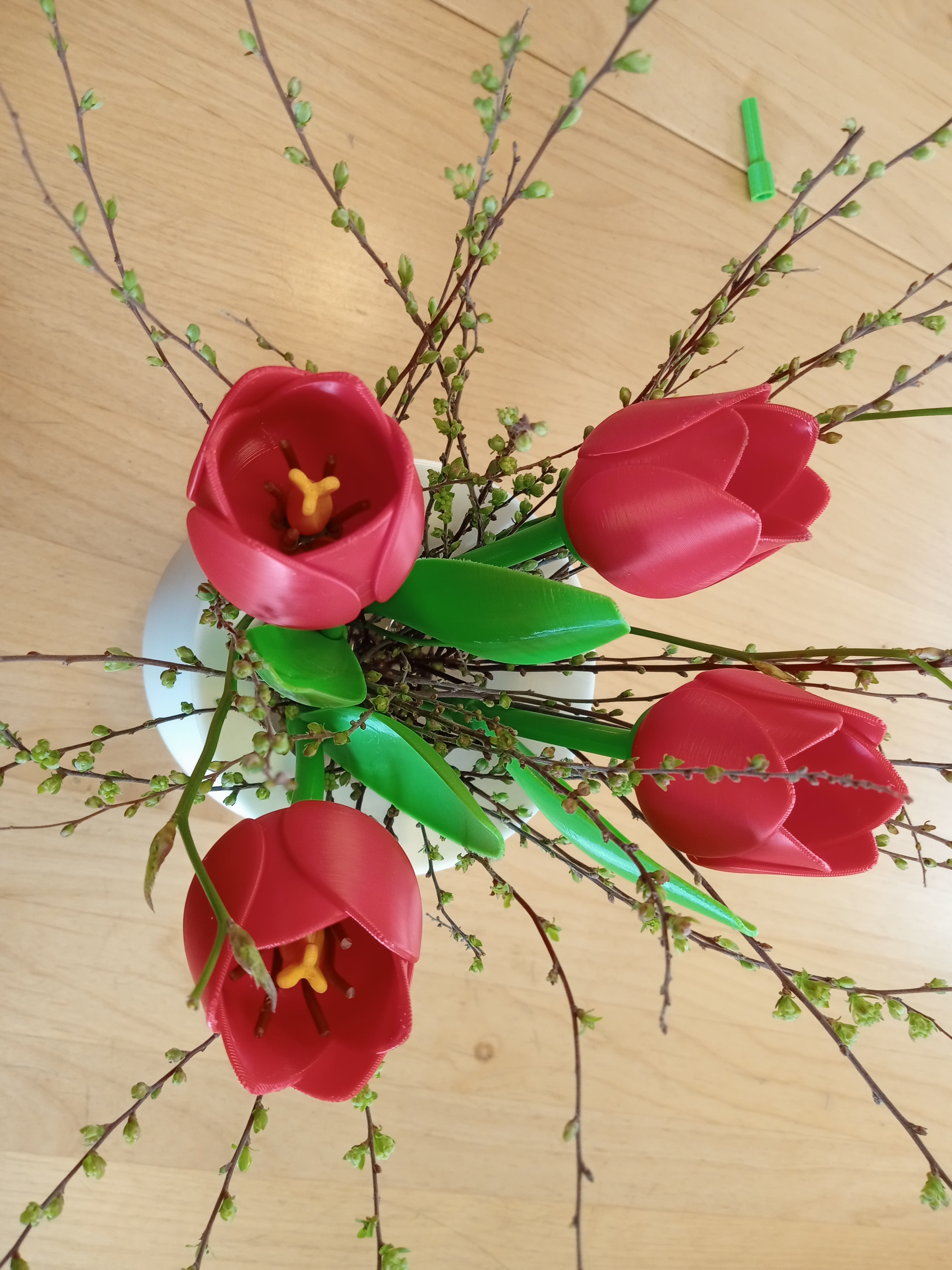 Zubehör für Tulpe / add-on for the tulip