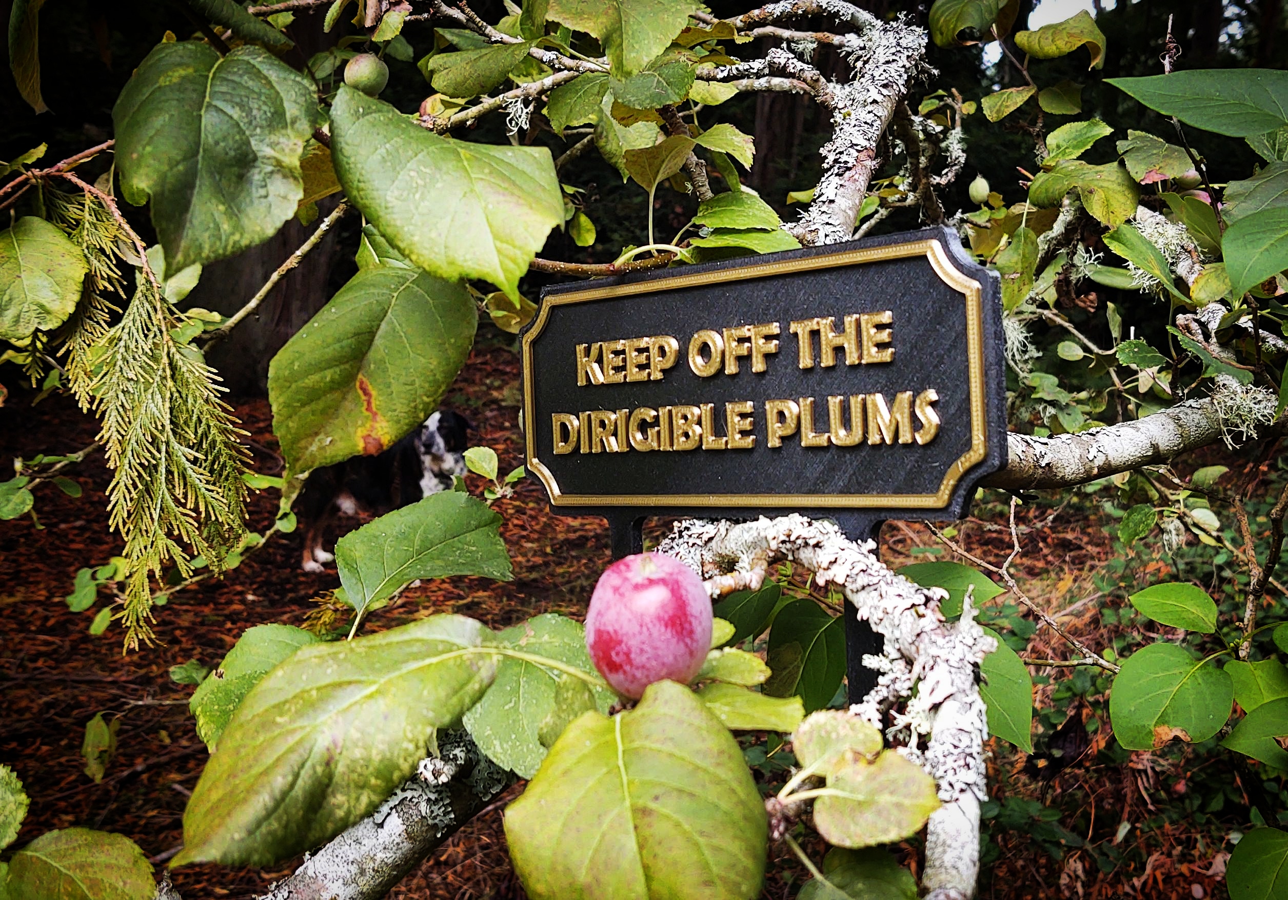 Keep off the Dirigible Plums Garden Sign