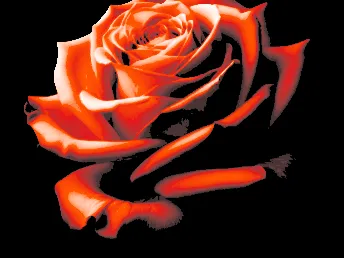 Fresh Rose "Filament Painting"