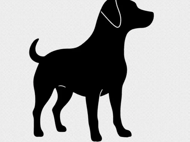 Dog decoration 2d