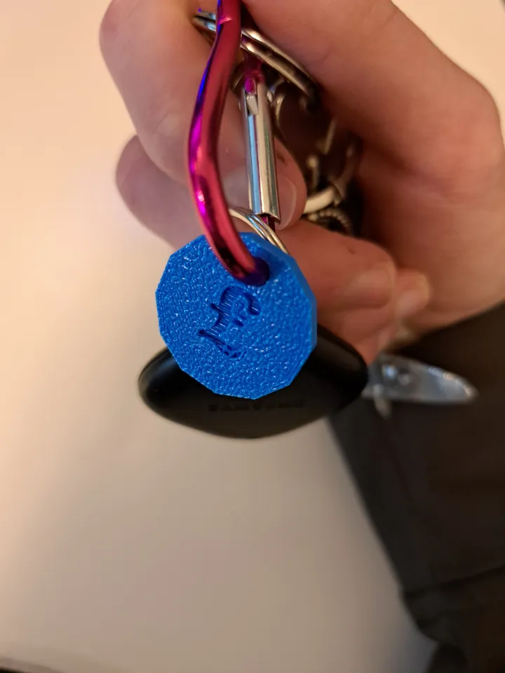Reusable Shopping Trolley Token Keyring £1 Coin by PinkOrange09