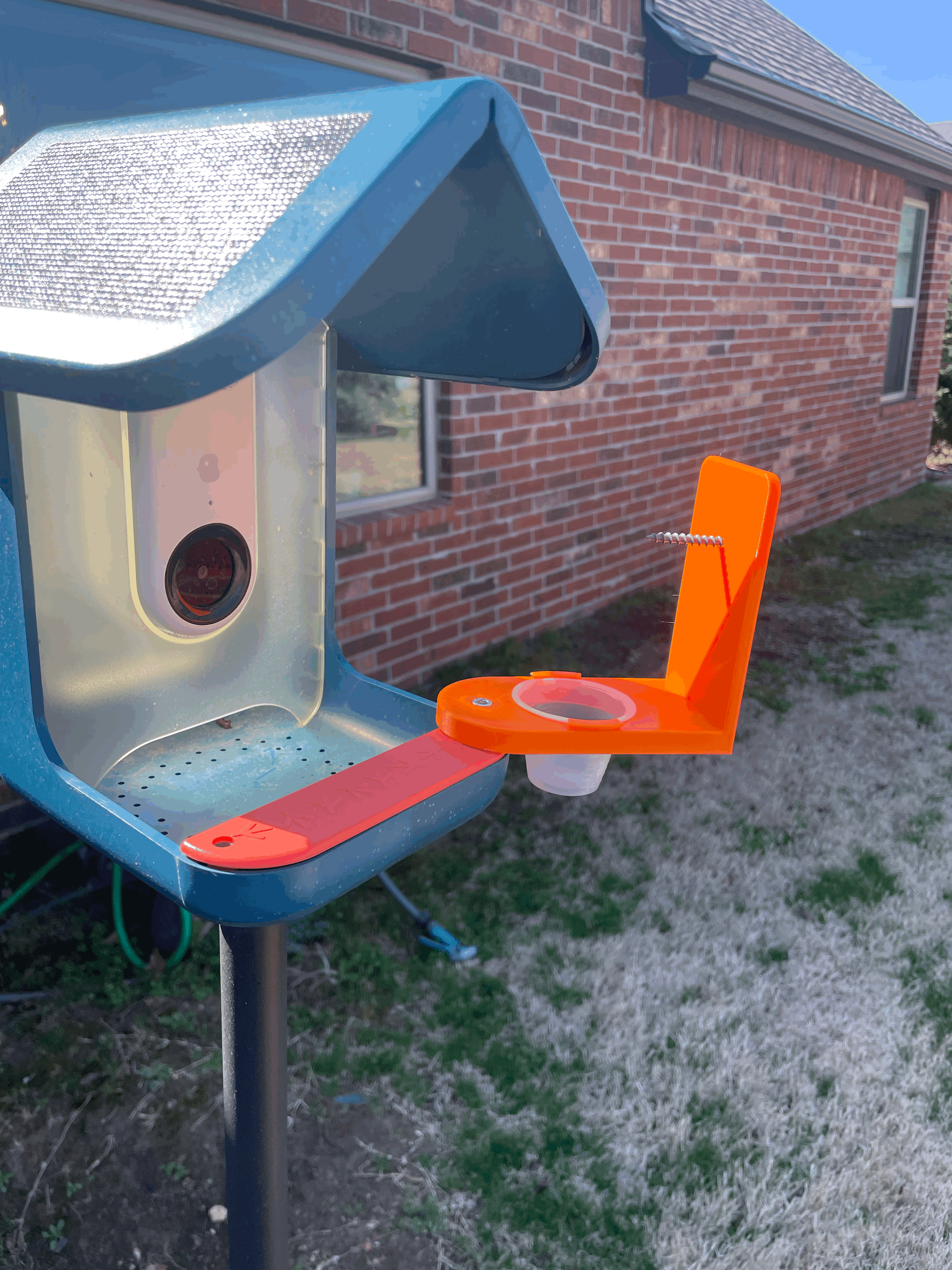 Bird Buddy oriole feeder (orange half and grape jelly)