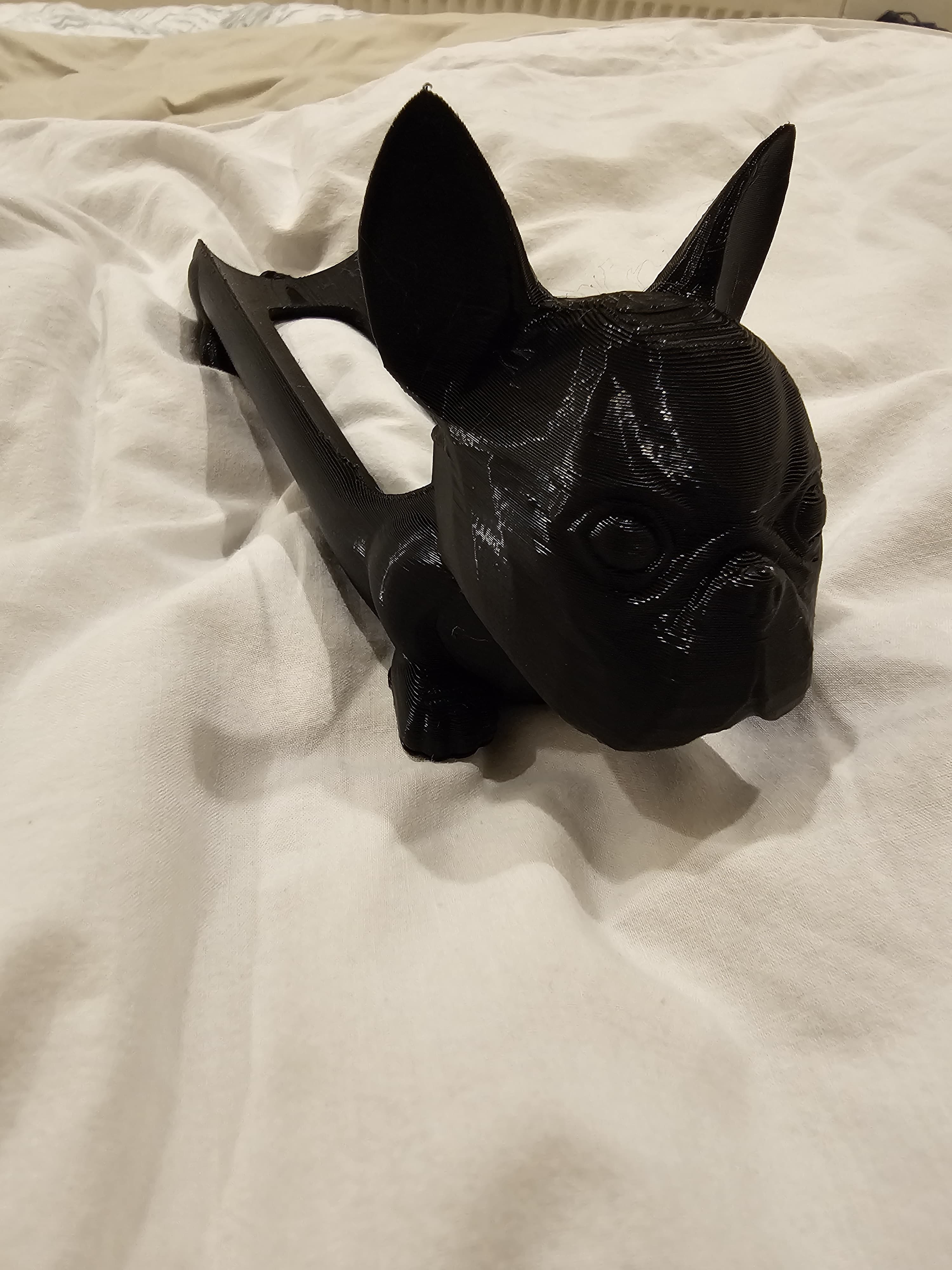 Completo Bulldog Frances