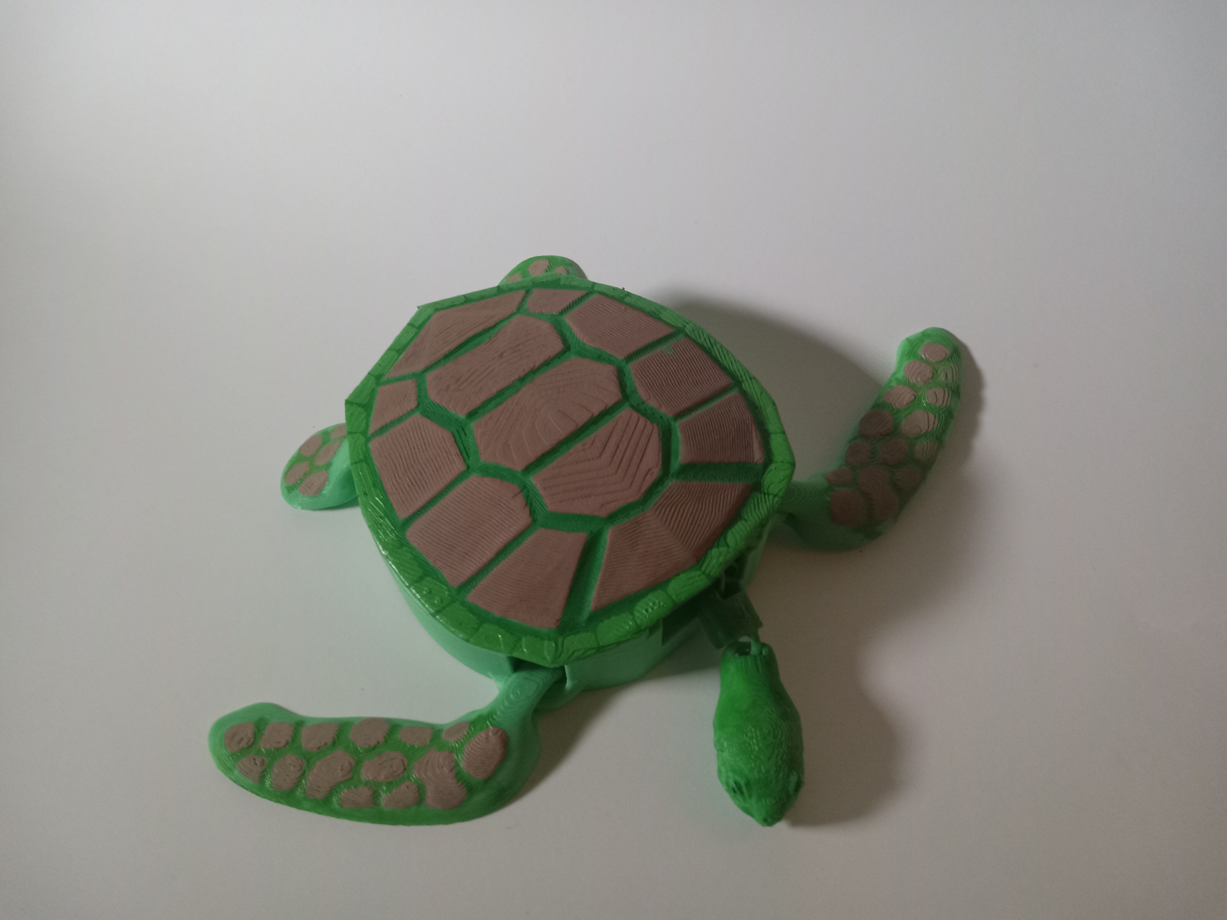 Yurtle The Long Necked Turtle: Completely 3D printed! by udrek ...