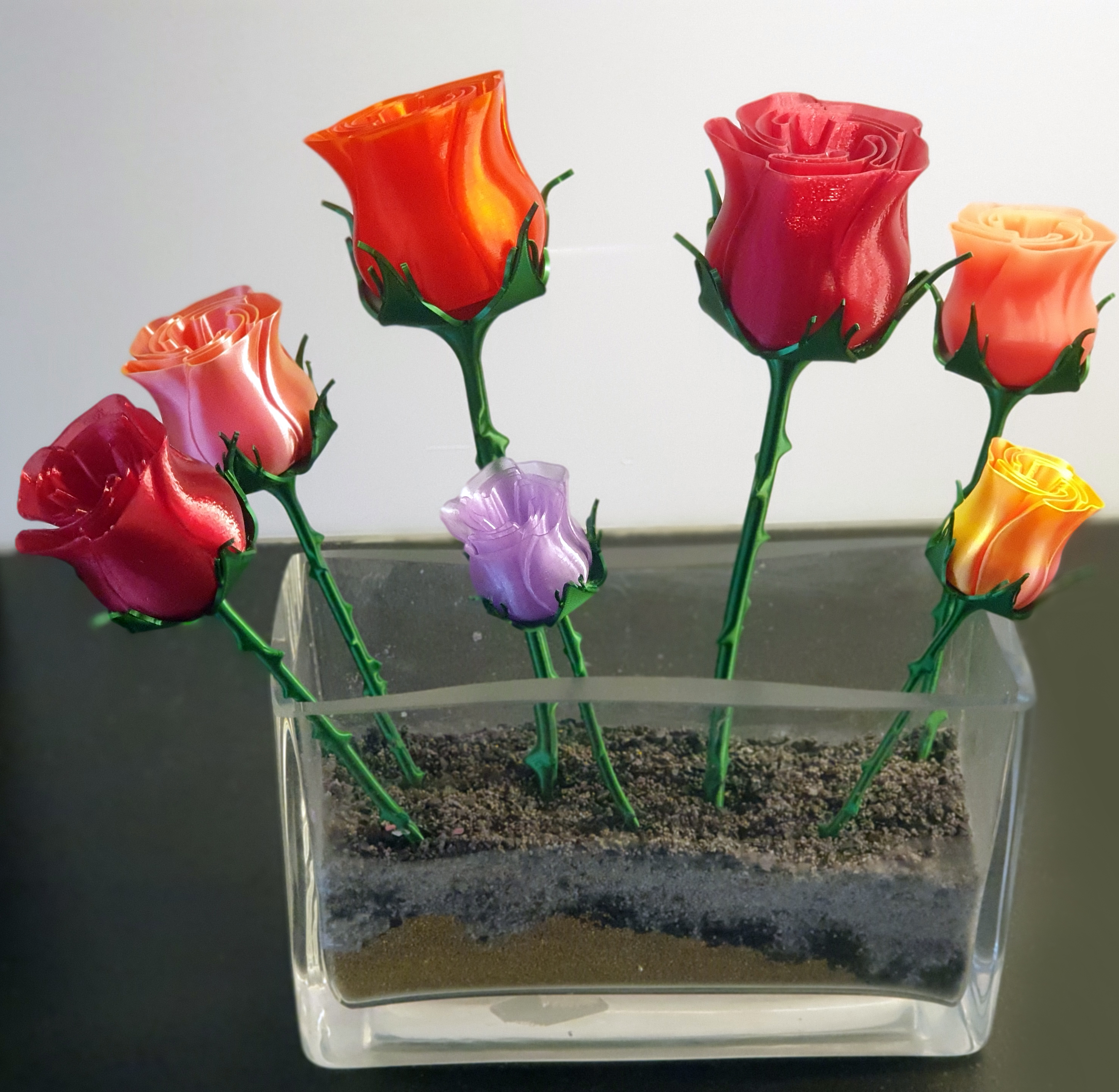 Roses - for thorny stem with nice leaves