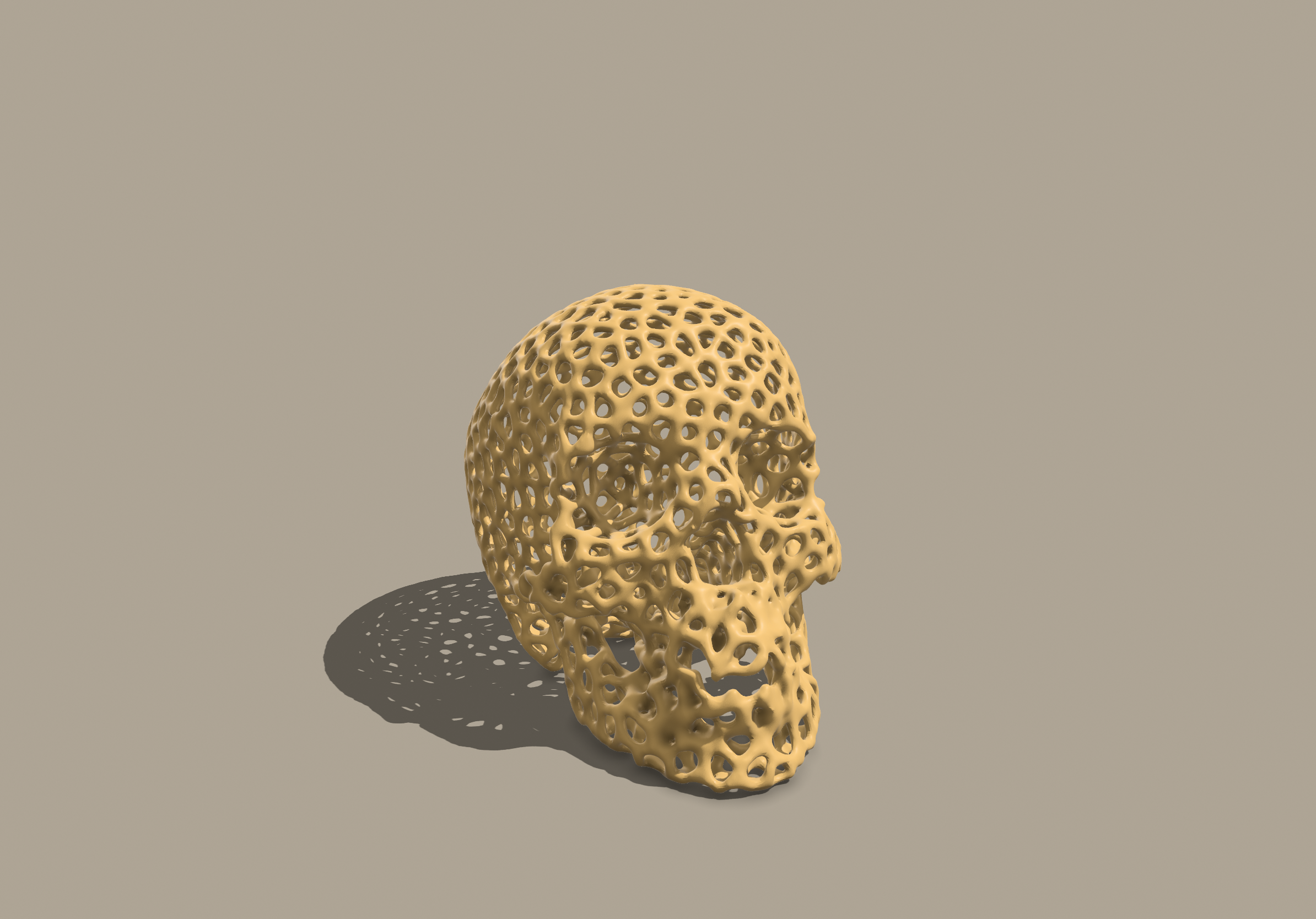 Voronoi Skull