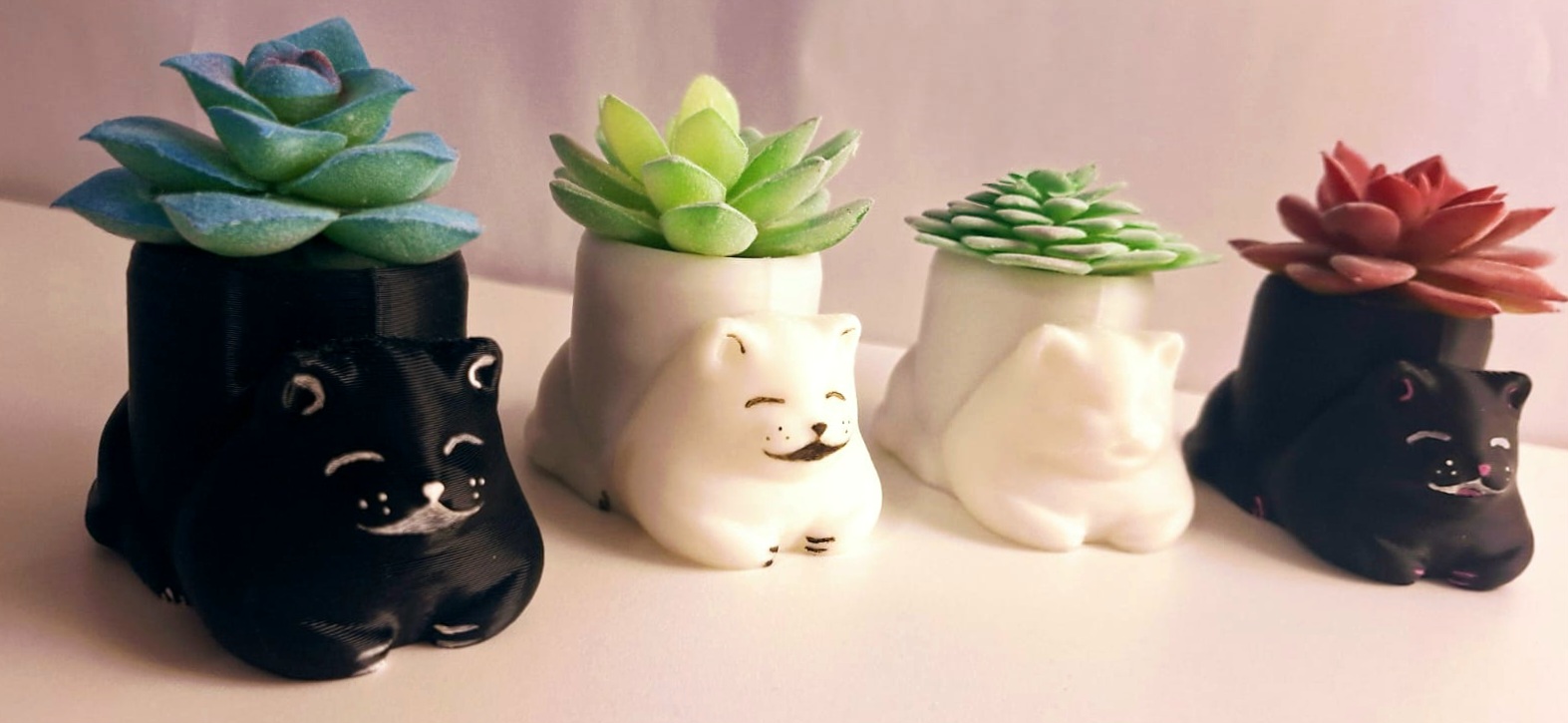 Kitty planter