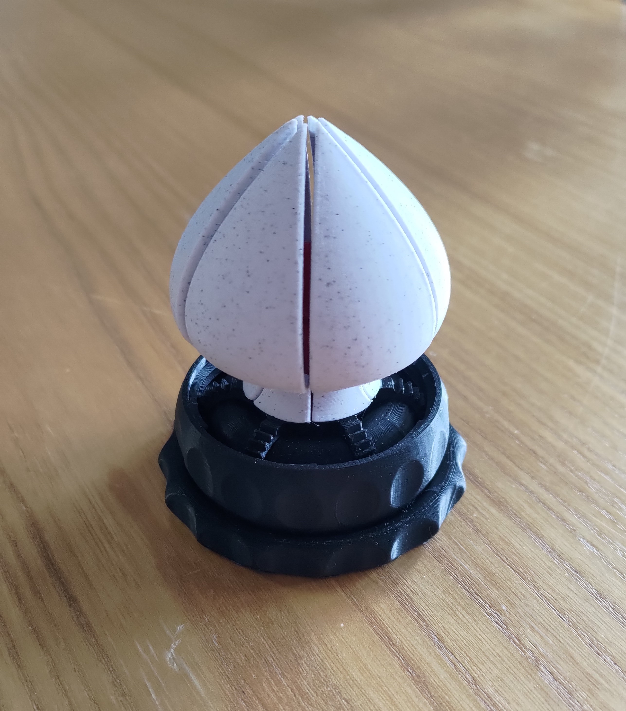 Valentines Day Blooming Flower Gift Box autorstwa kisscoool18 Pobierz